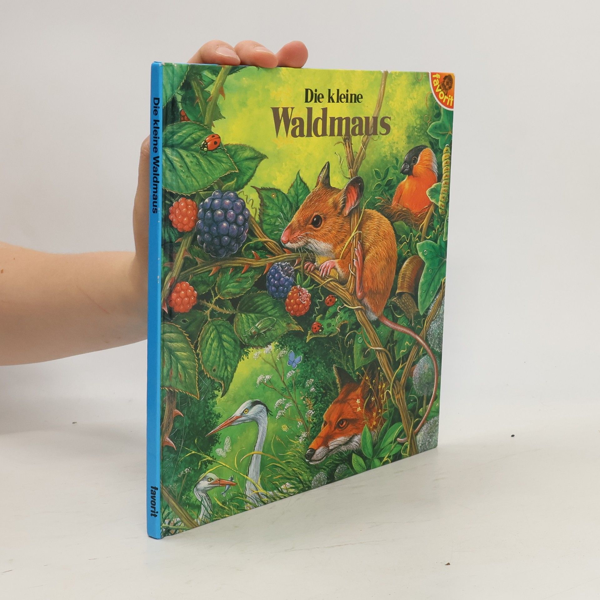 kolektiv Die kleine Waldmaus