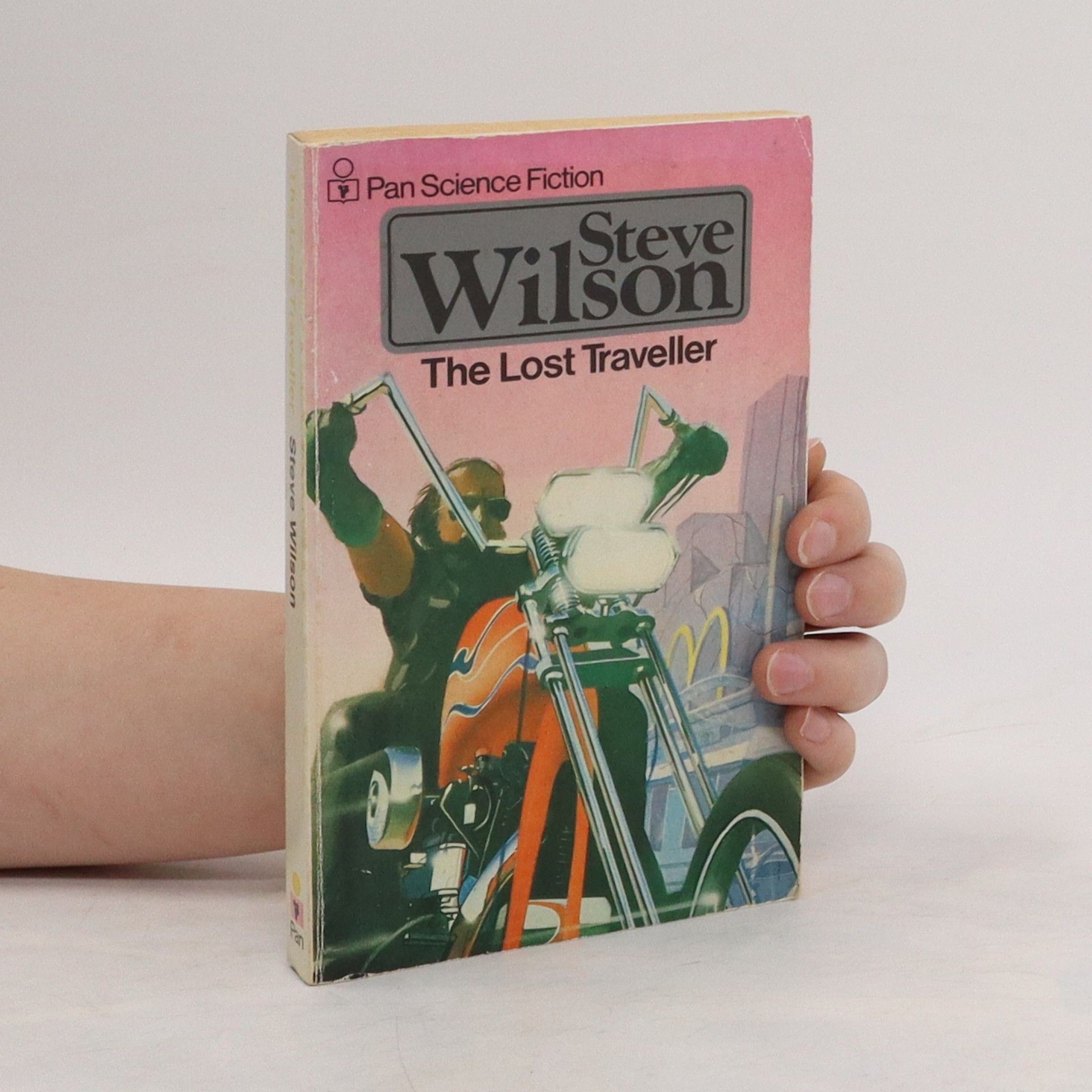 Steve Wilson The  Lost traveller