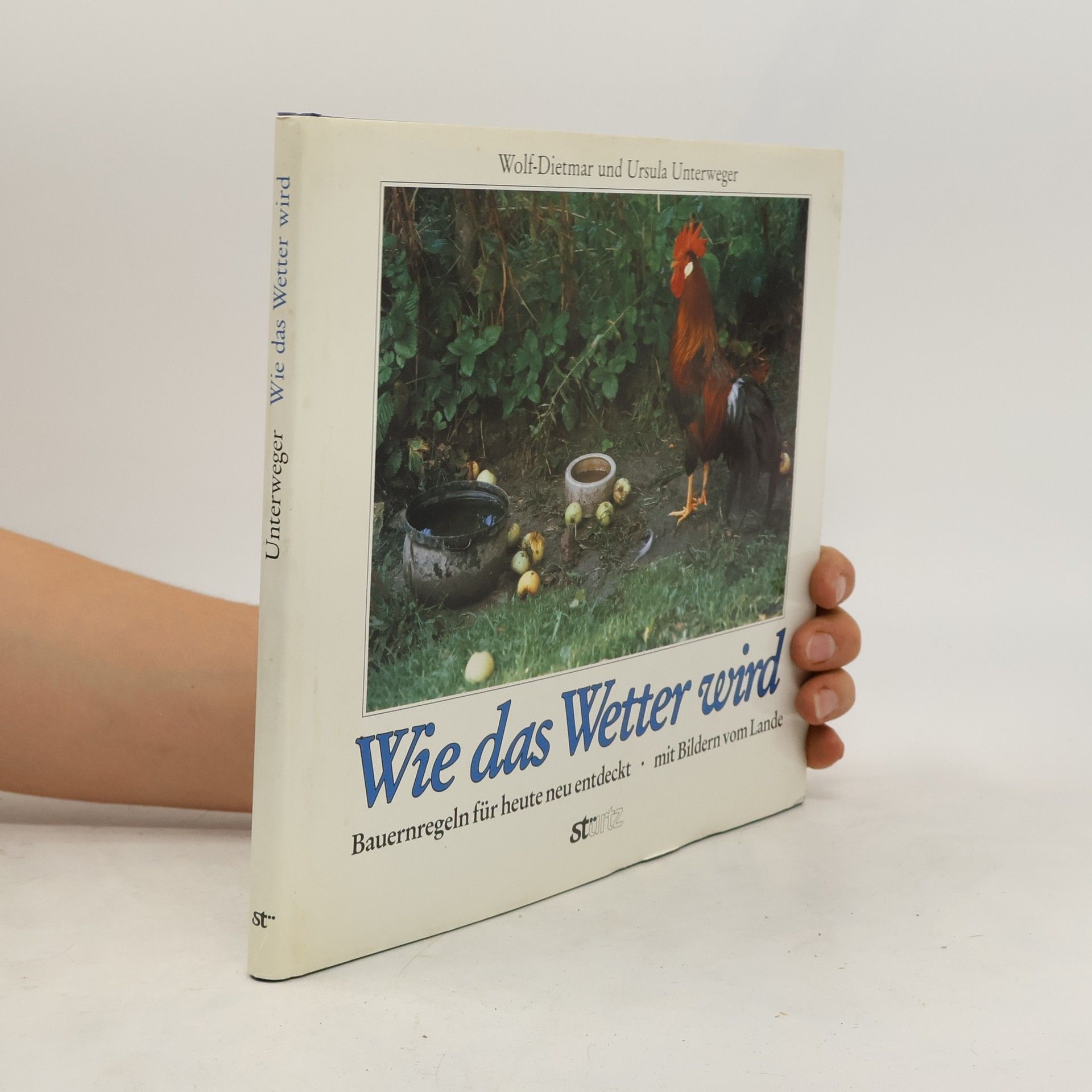 Wolf-Dietmar Unterweger Wie das Wetter wird