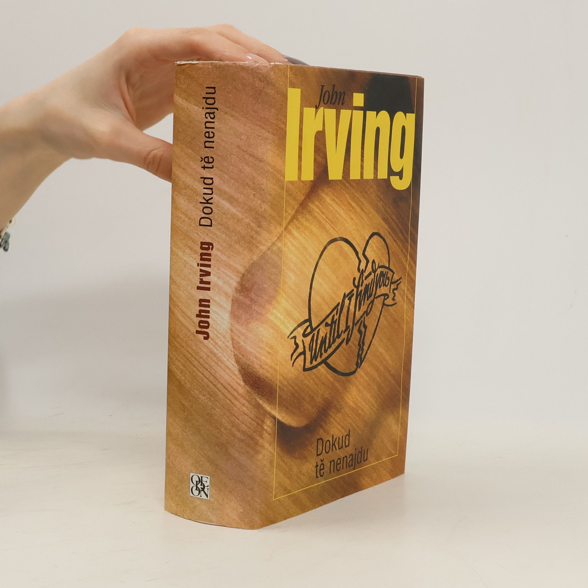 John Irving Dokud tě nenajdu