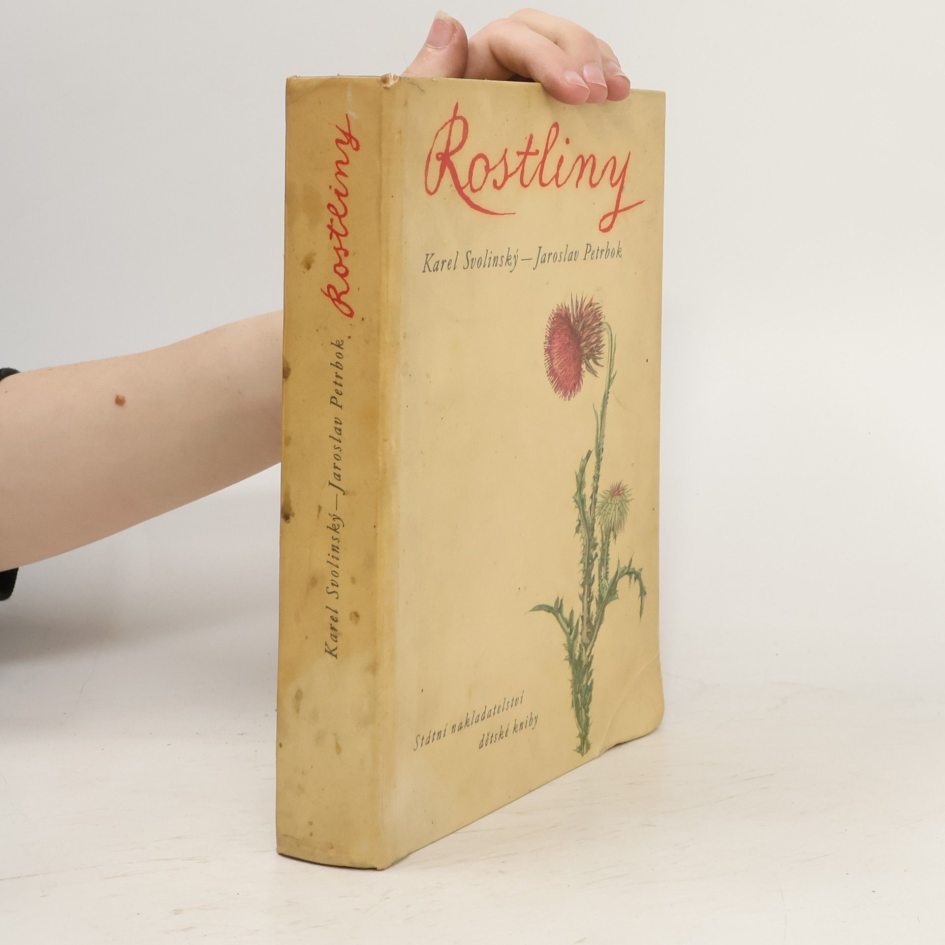 Karel Svolinský Rostliny