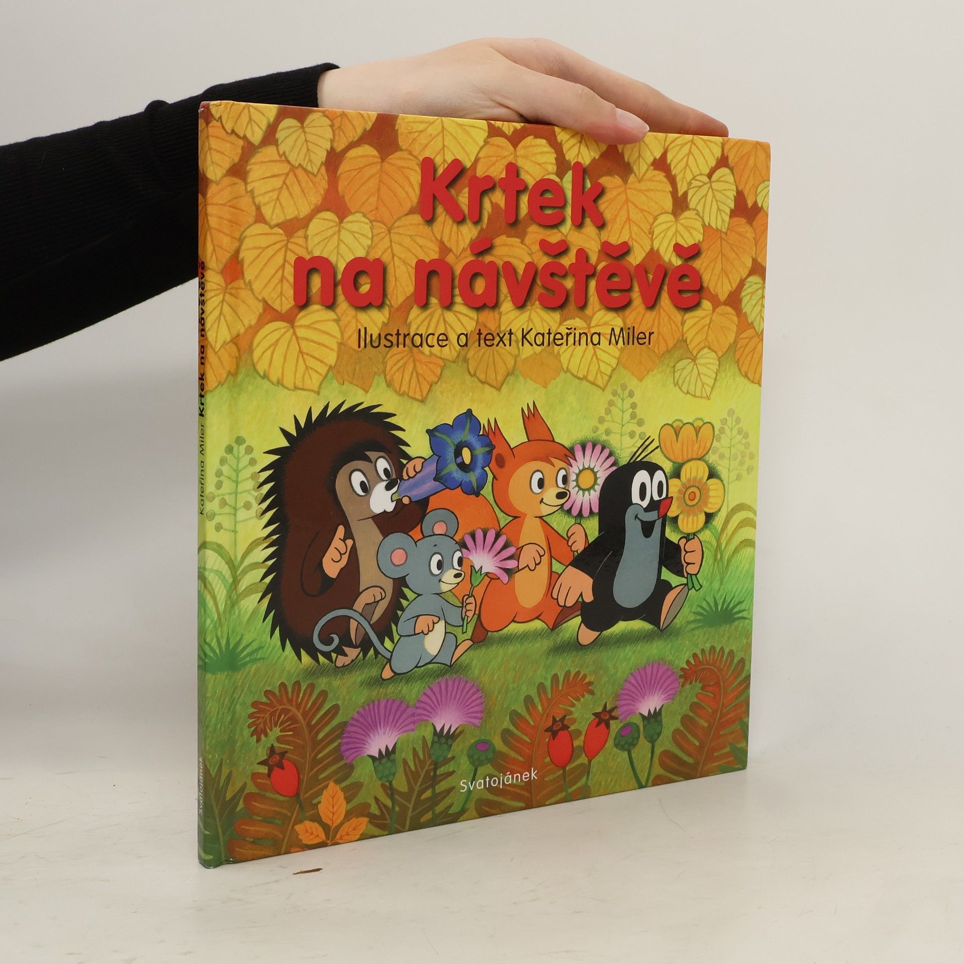 Kateřina Lovis Miler Krtek na návštěvě