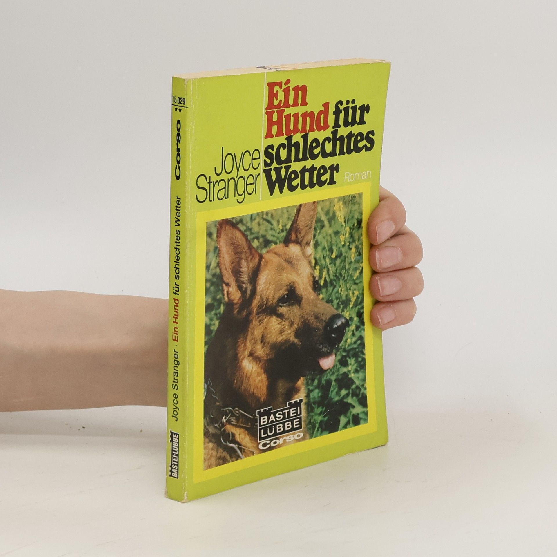 Joyce Stranger Ein Hund für schlechtes Wetter
