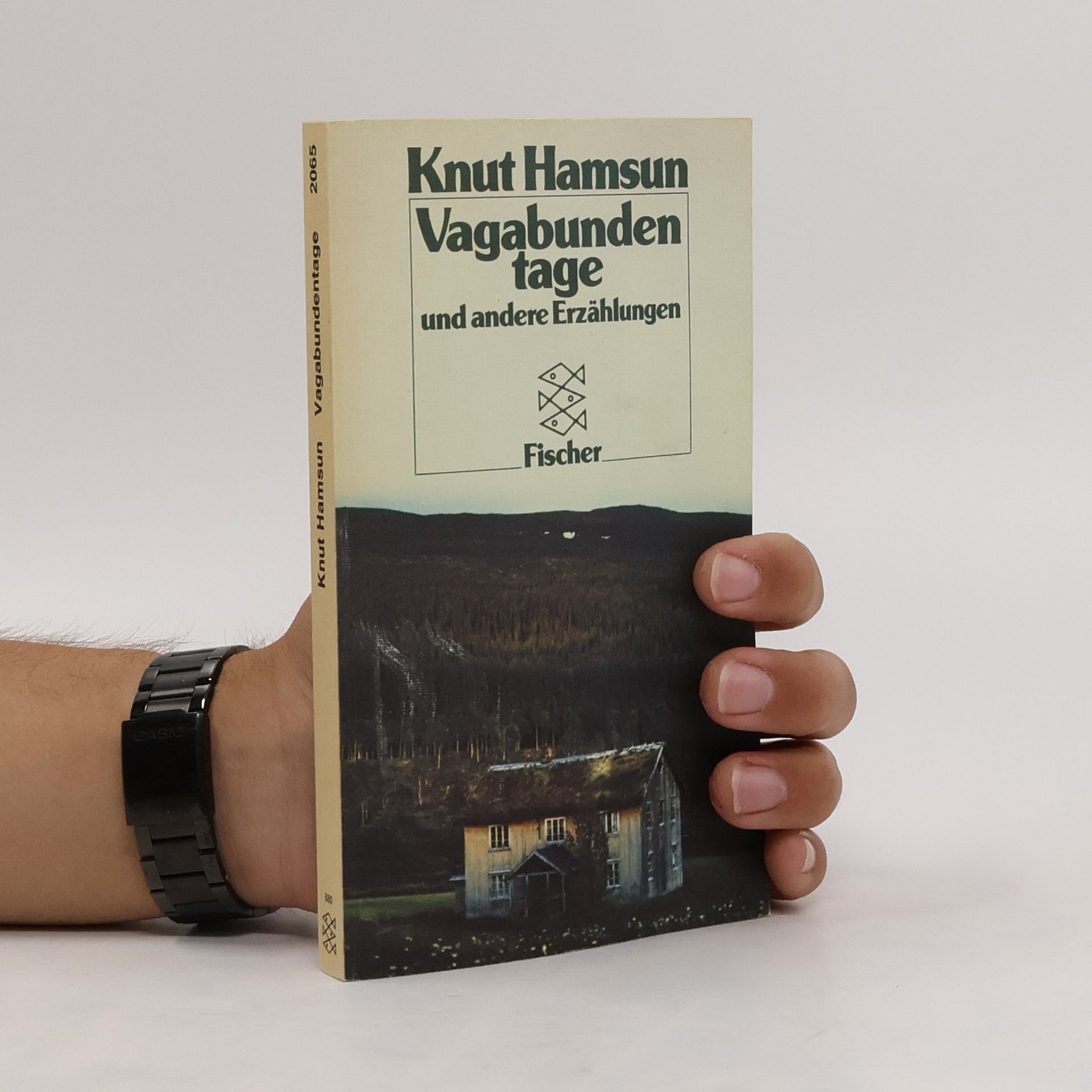 Knut Hamsun Vagabundentage und andere Erzählungen