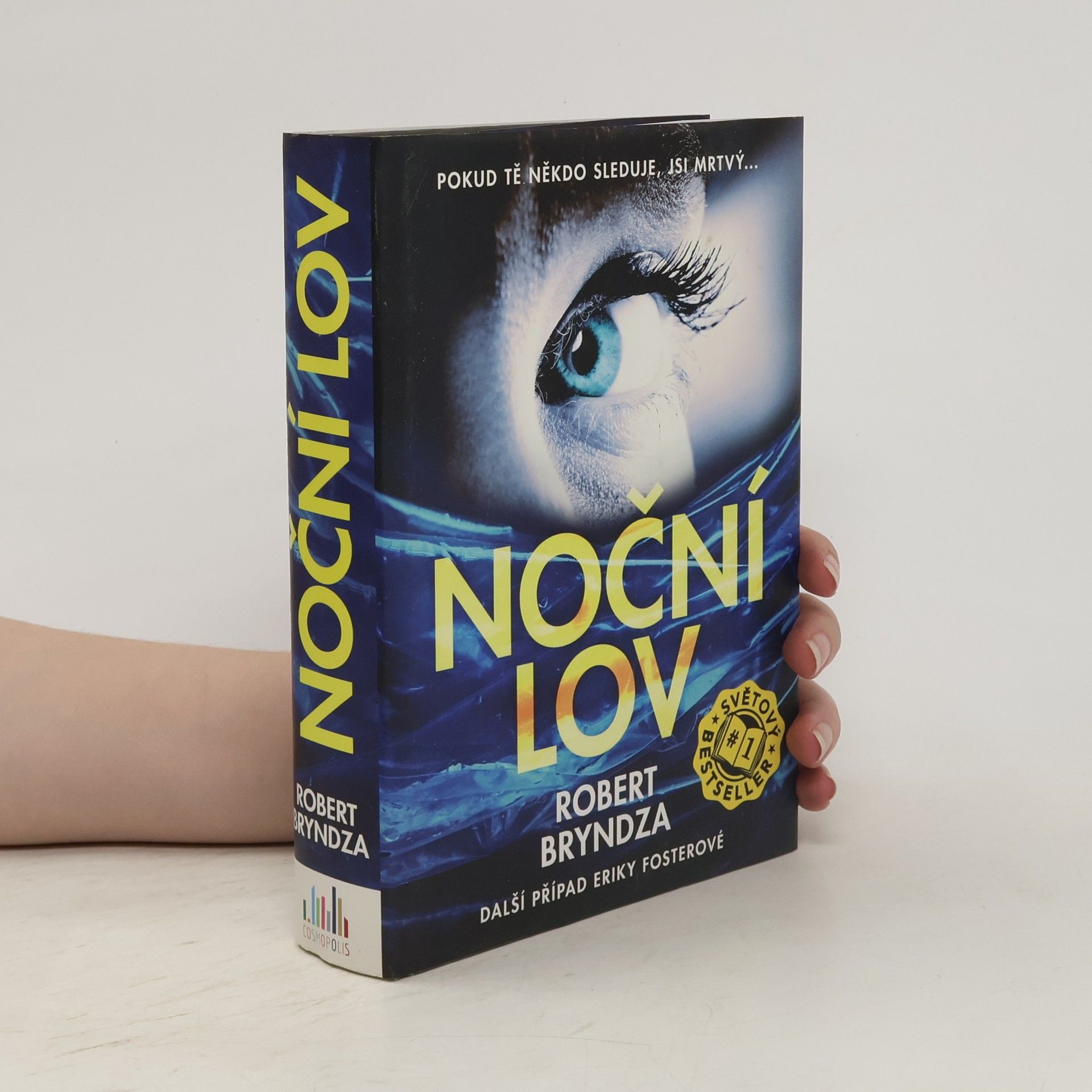 Robert Bryndza Noční lov