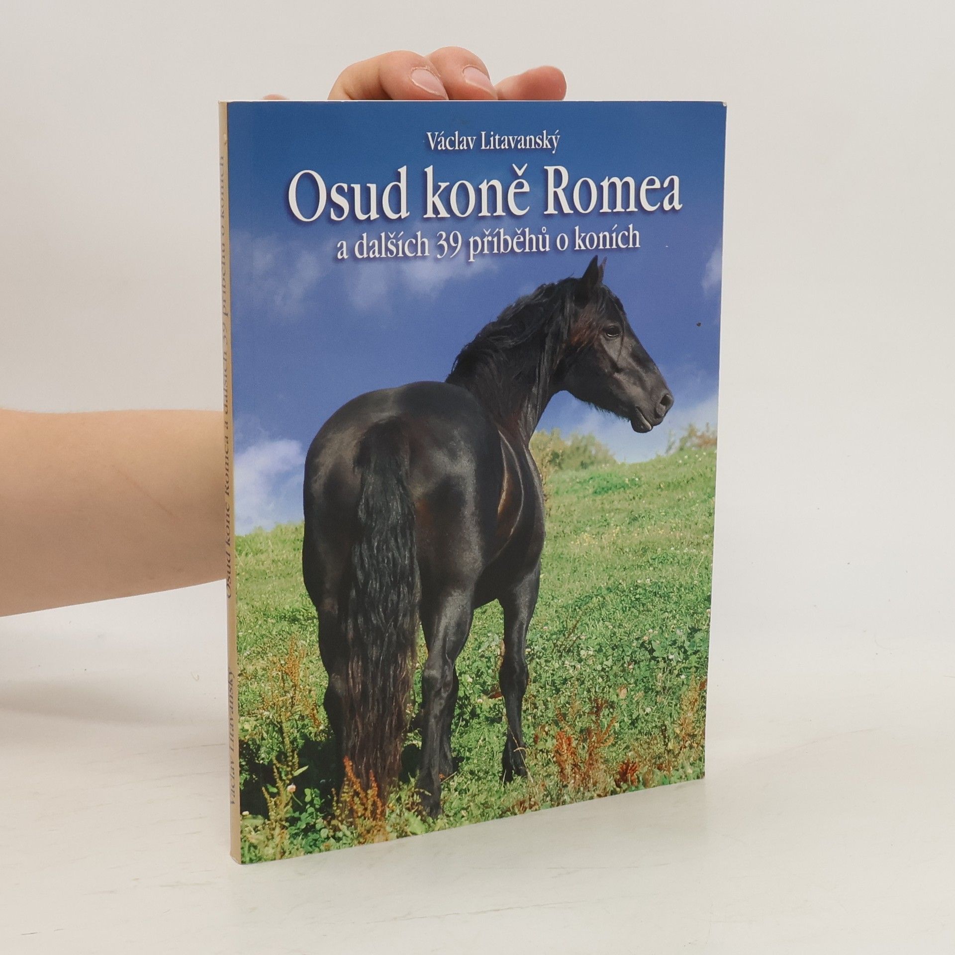Václav Litavanský Osud koně Romea a dalších 39 příběhů o koních