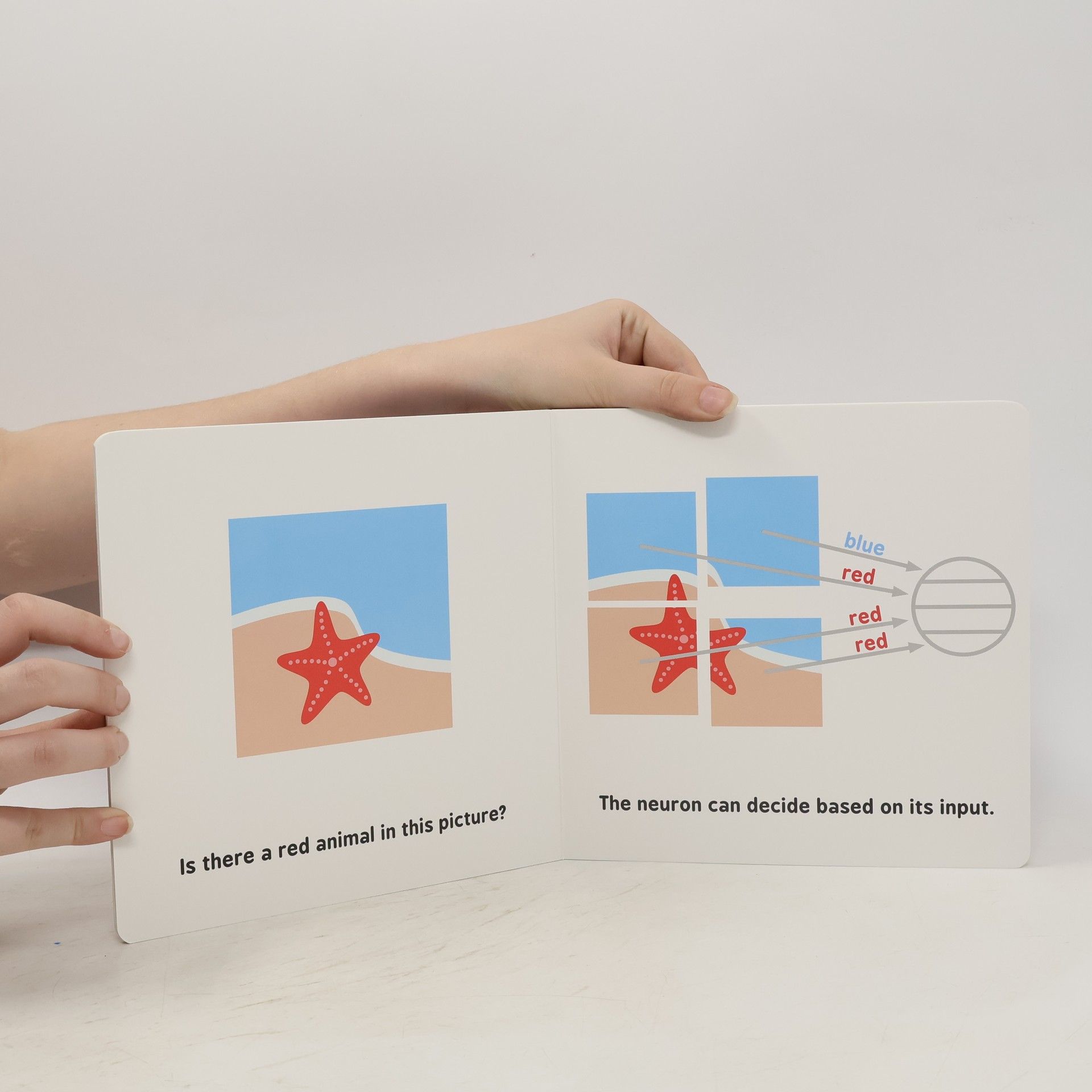 Chris Ferrie Neural networks for babies