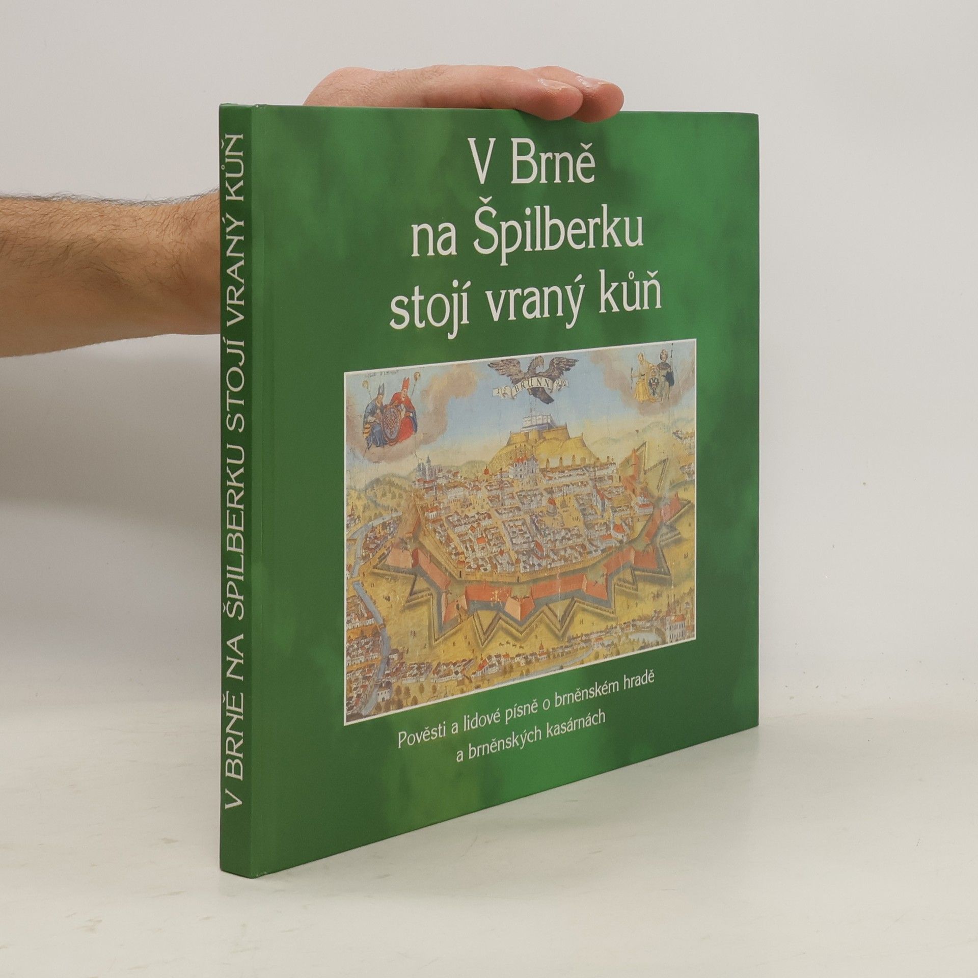 Jana Svodobová V Brně na Špilberku stojí vraný kůň