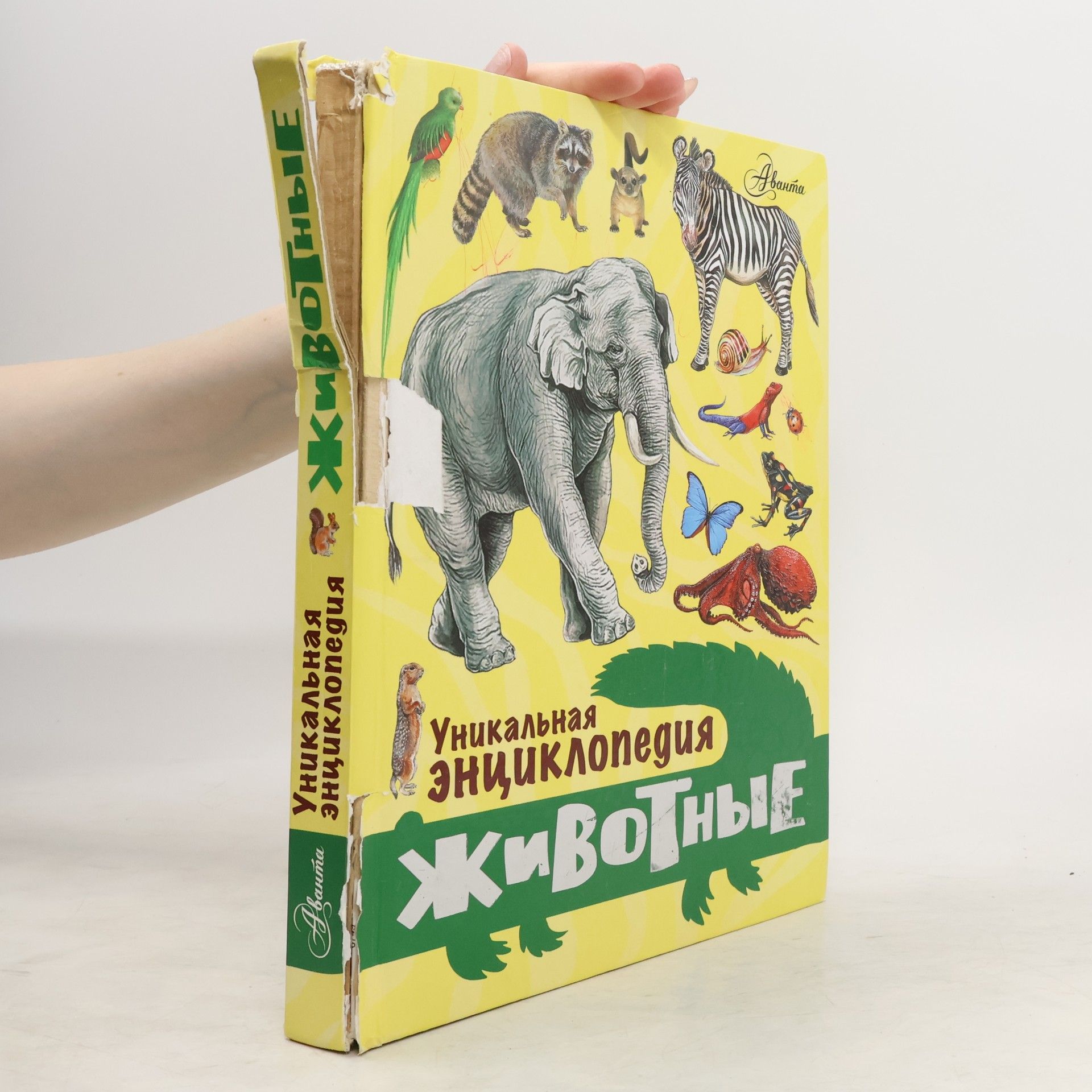 Касаткина Ю. Н. Уникальная энциклопедия. Животные