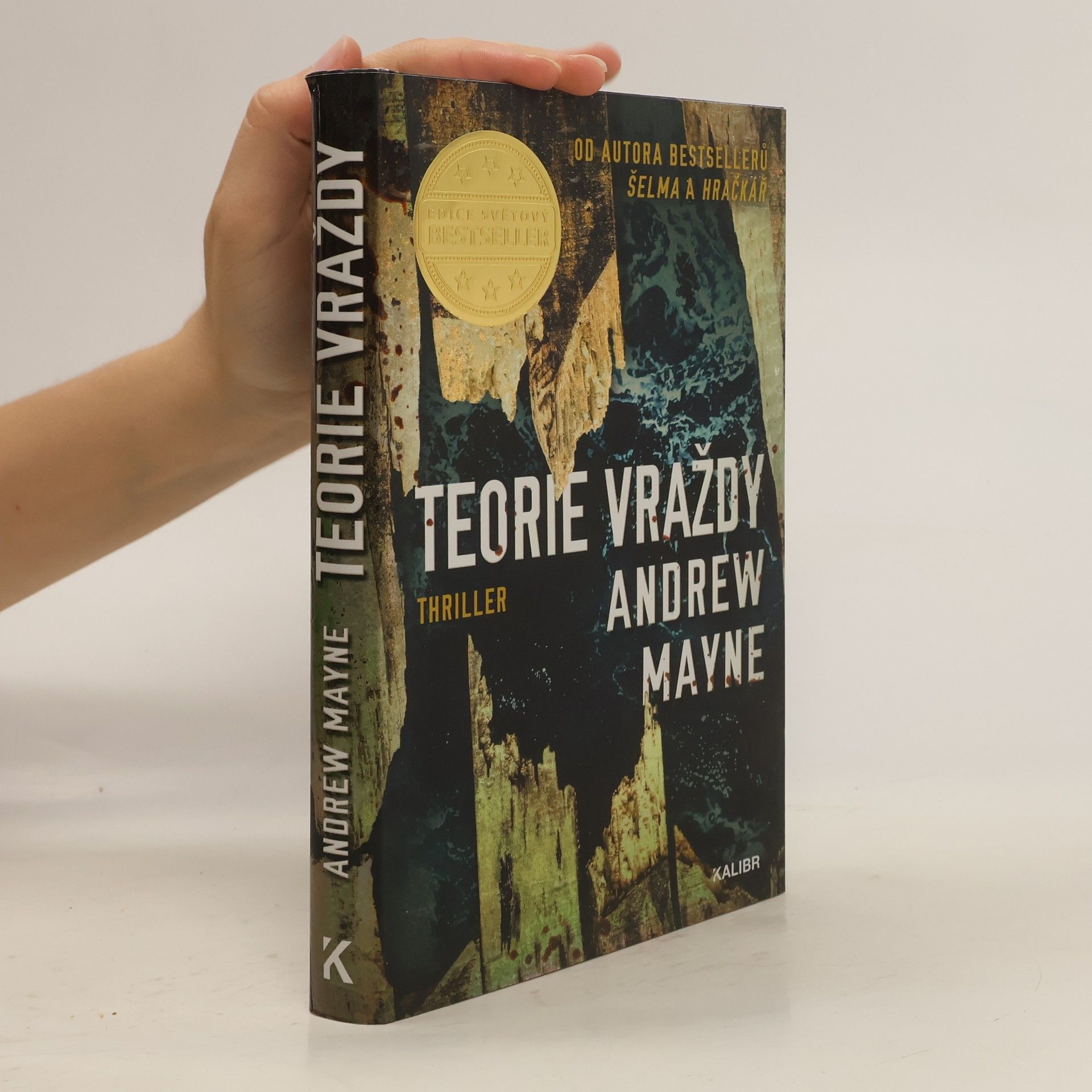 Andrew Mayne Teorie vraždy