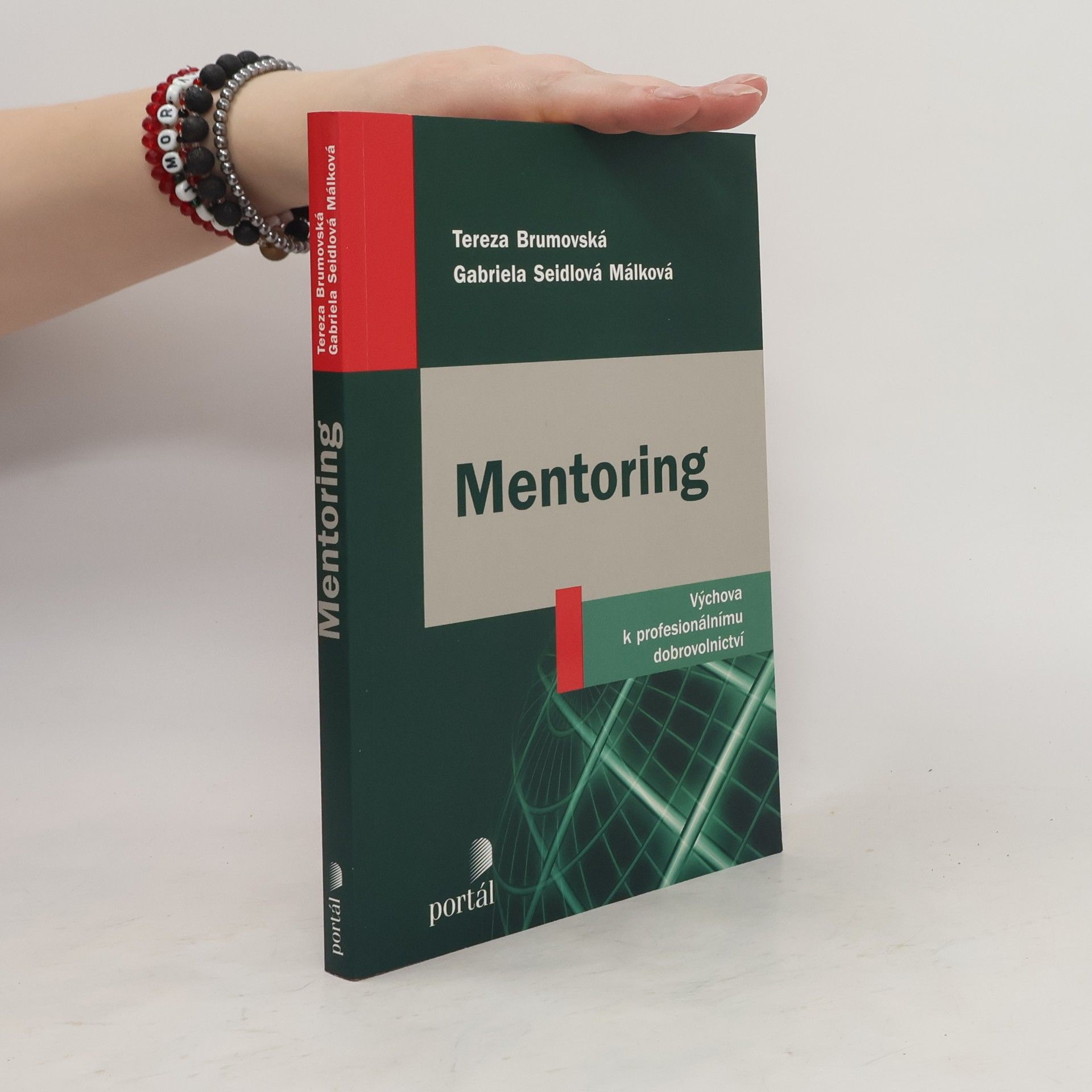Tereza Brumovská Mentoring: Výchova k profesionálnímu dobrovolnictví