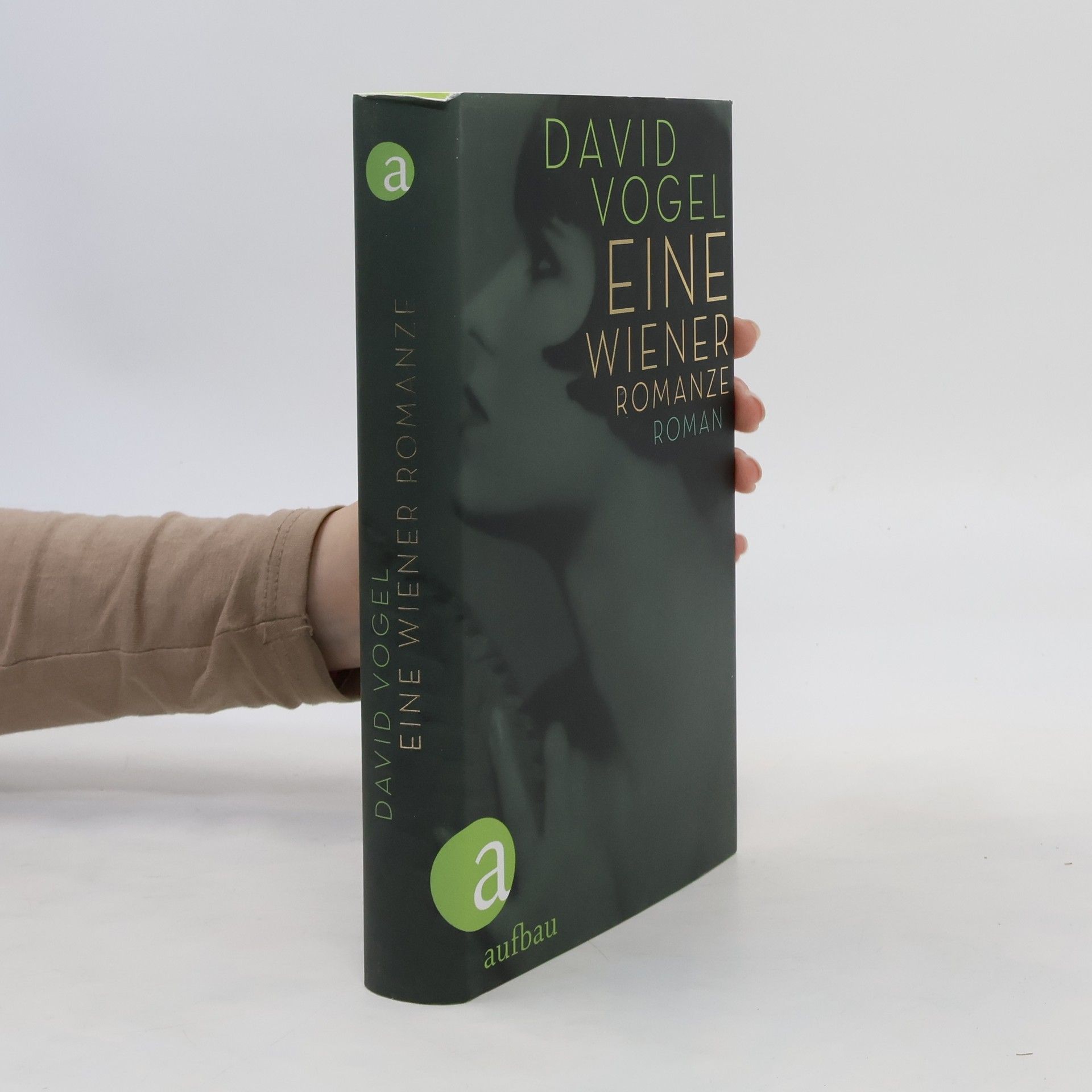 David Vogel Eine Wienerromanze