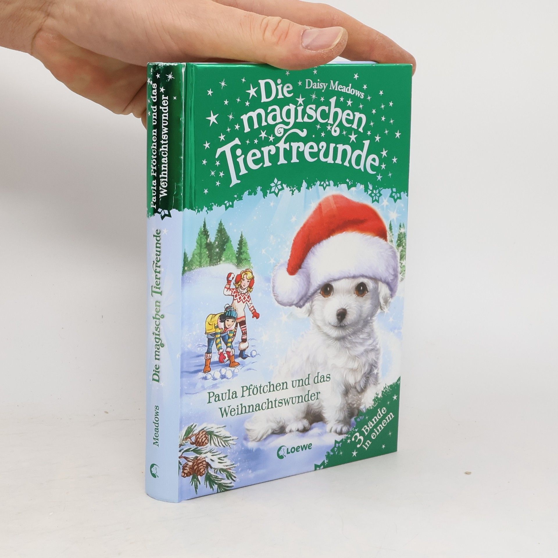 Daisy Meadows Paula Pfötchen und das Weihnachtswunder
