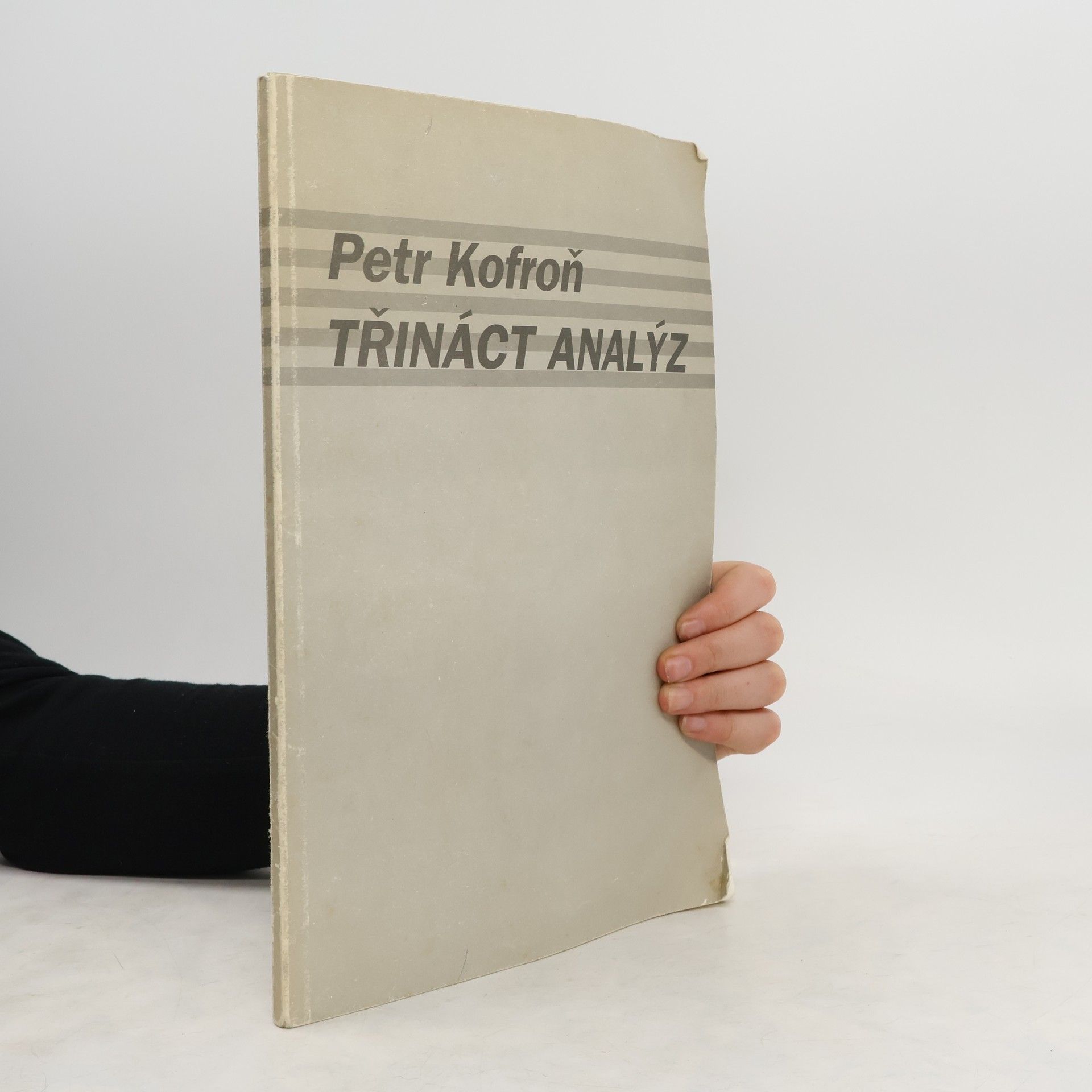 Petr Kofroň Třináct analýz