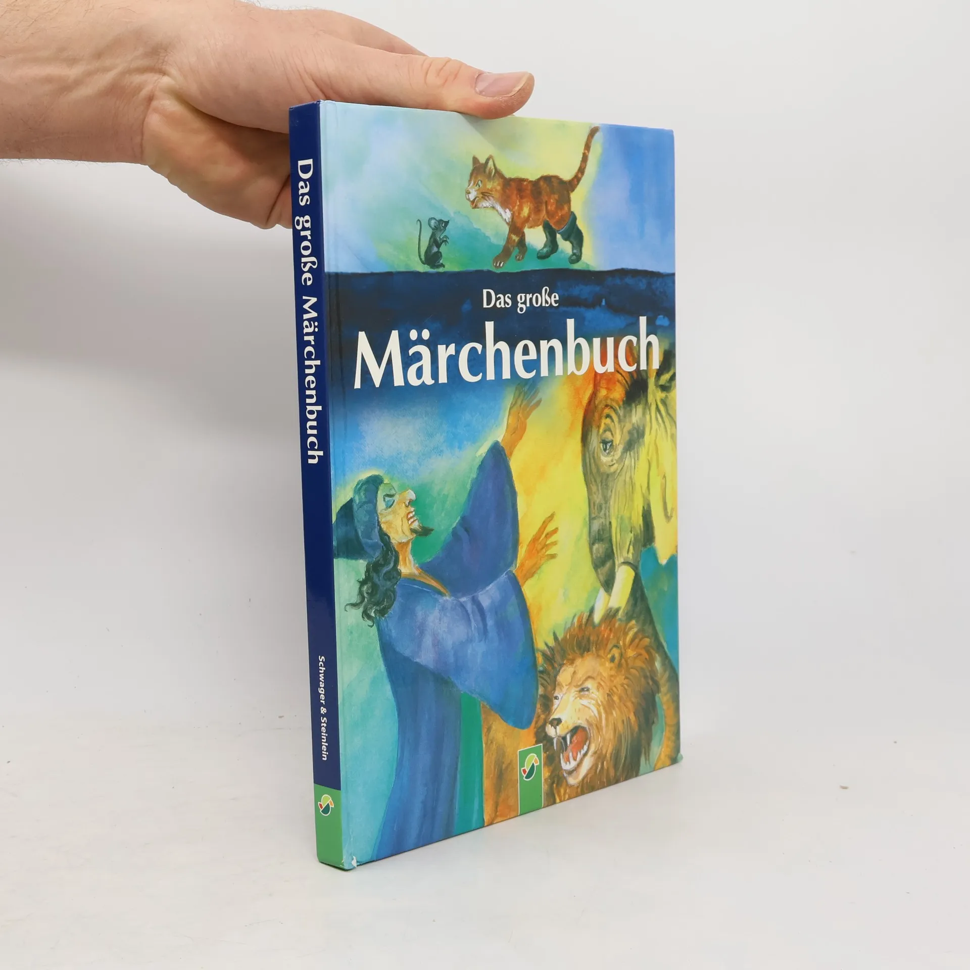 Das große Märchenbuch | Buch | Hardcover | kolektiv