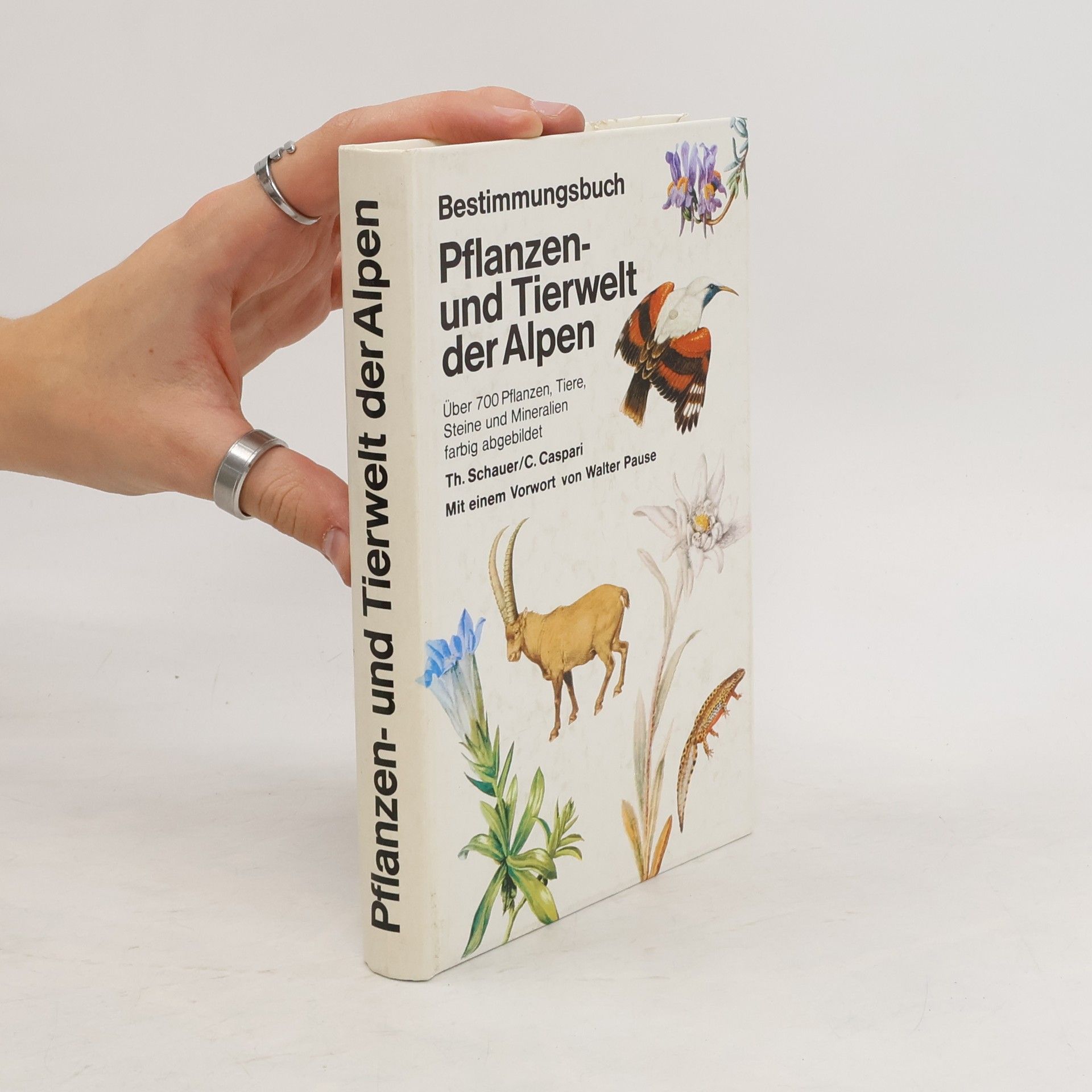 Collective Pflanzen- und Tierwelt der Alpen
