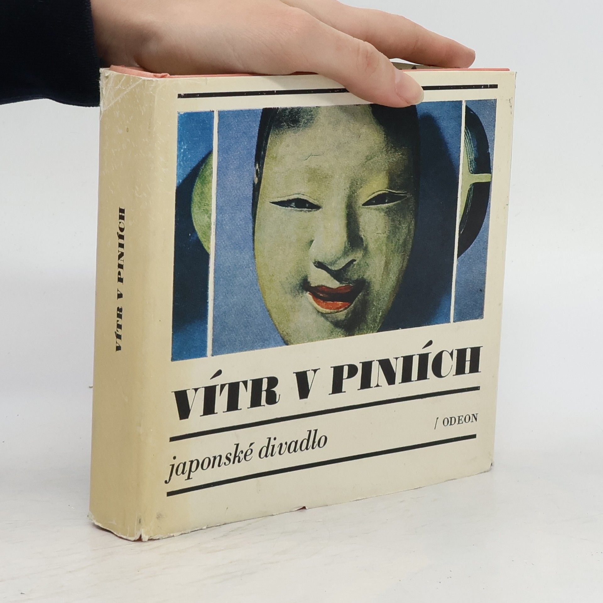 Collectif d'auteurs Vítr v piniích. Japonské divadlo