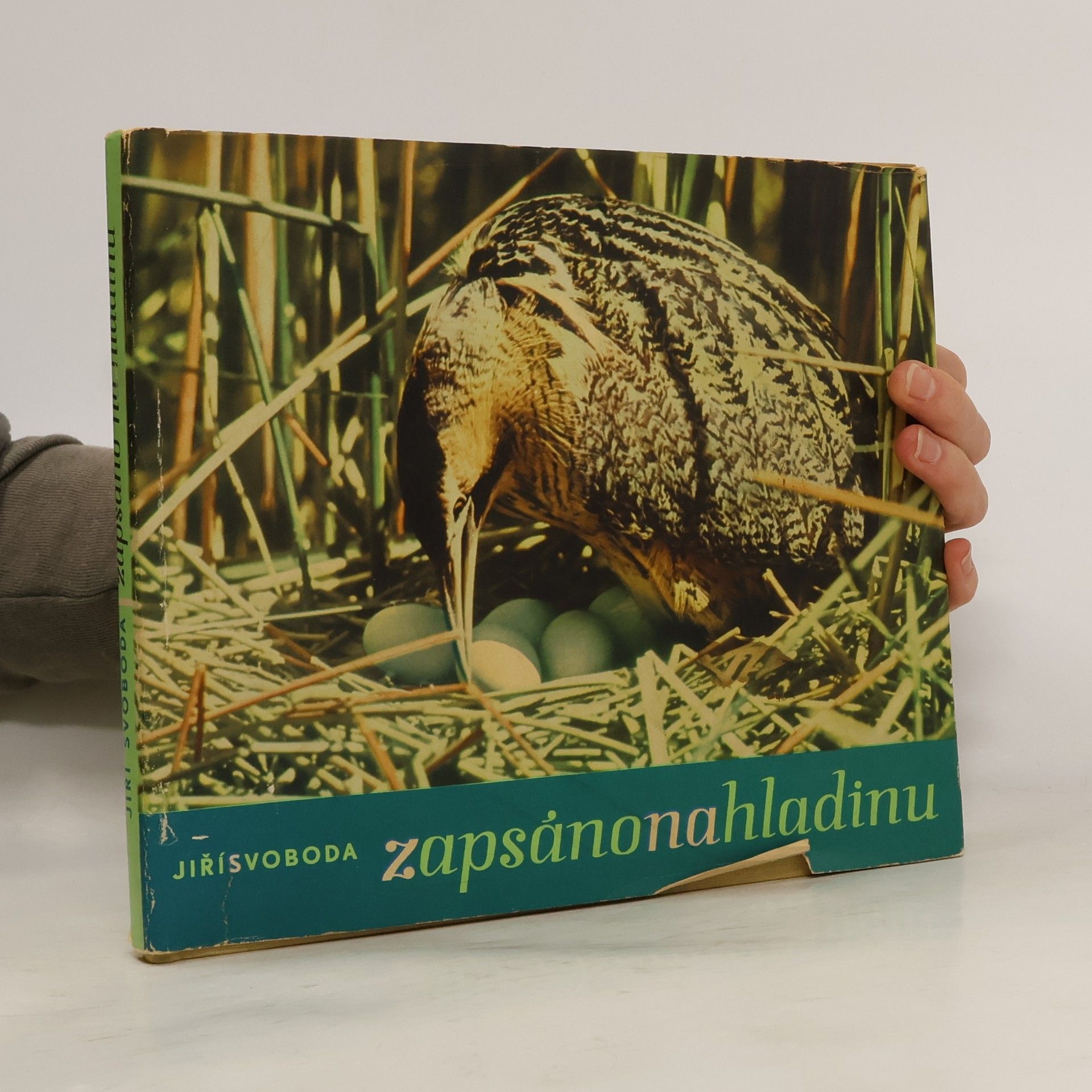 Jiří Svoboda Zapsáno na hladinu