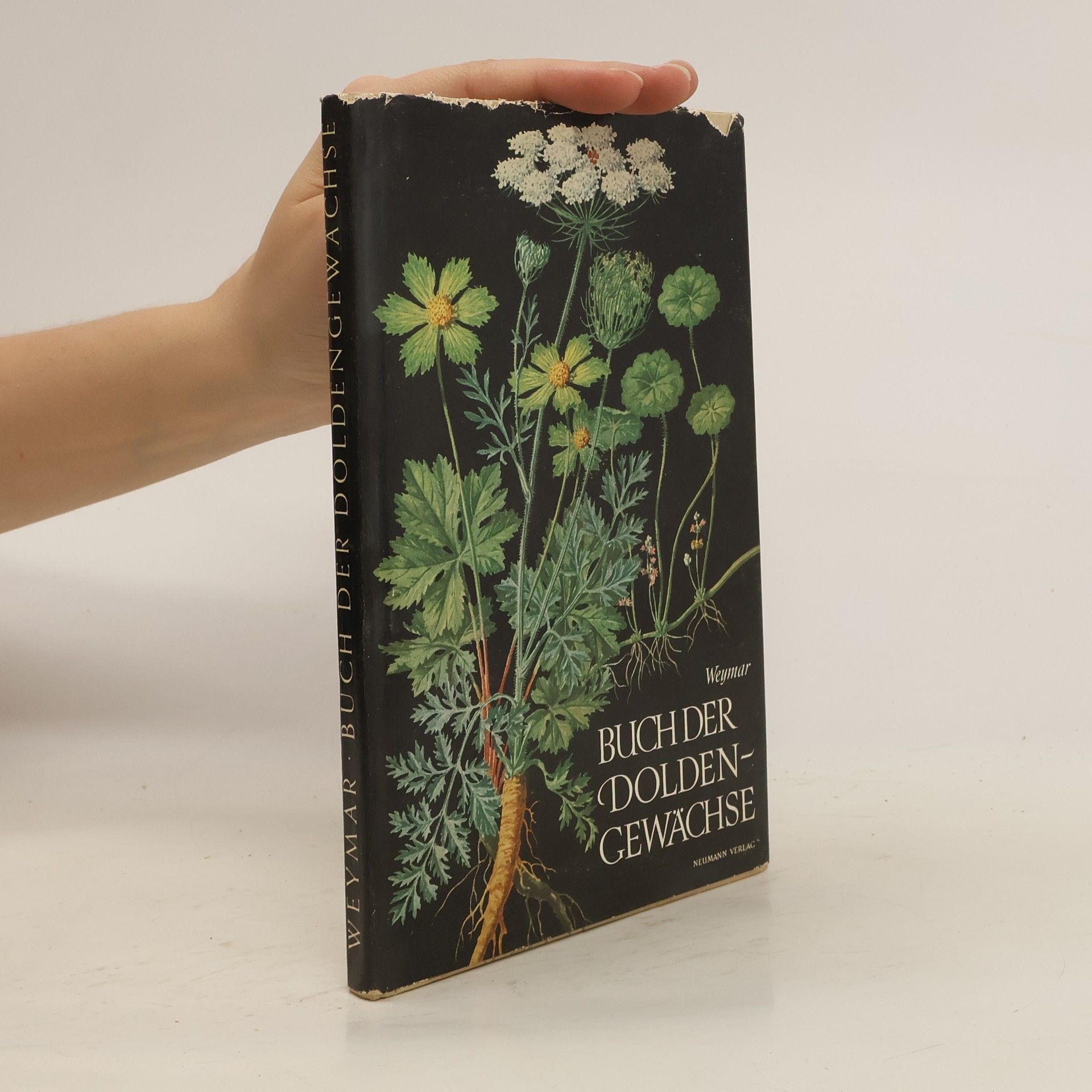 Herbert Weyma Buch der Doldengewächse