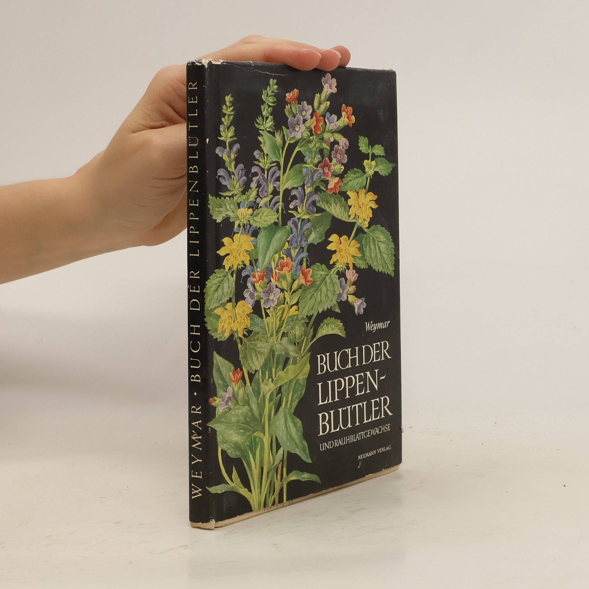 Herbert Weyma Buch der Lippenblütler