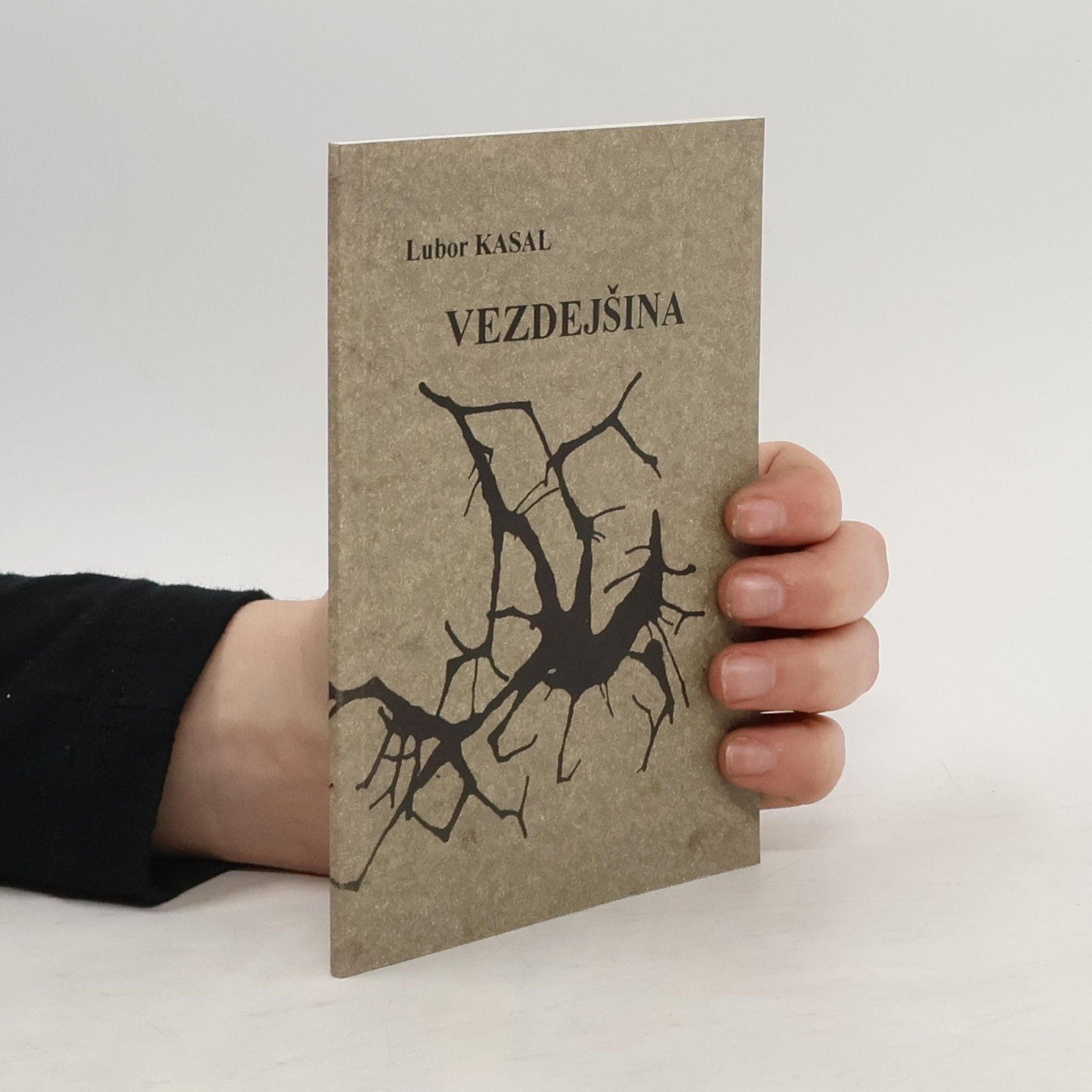 Lubor Kasal Vezdejšina