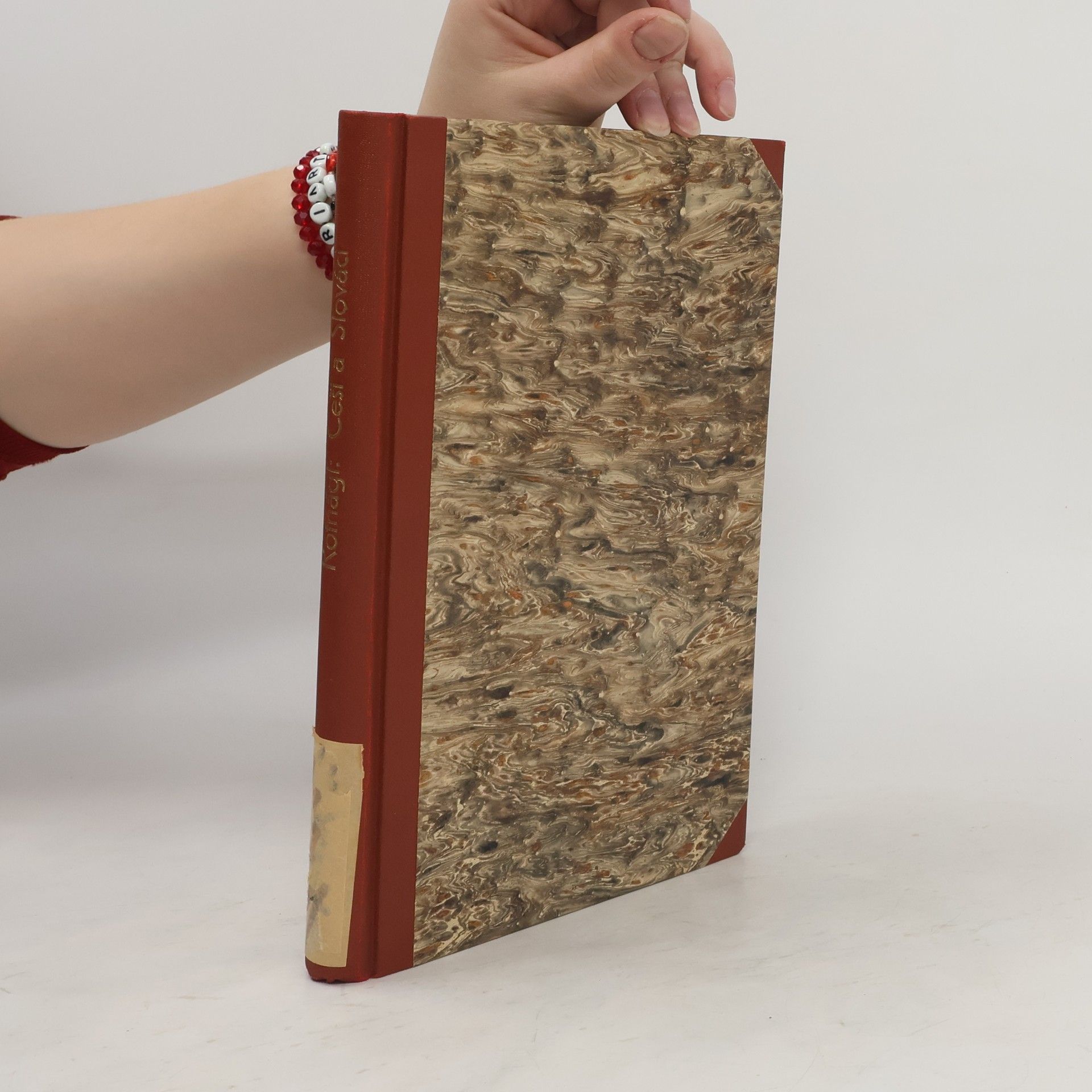 Josef Rotnágl Češi a Slováci