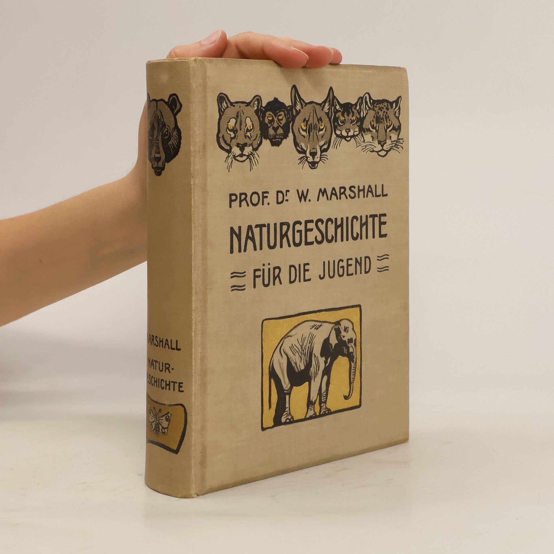 W. Marshall Naturgeschichte für die Jugend