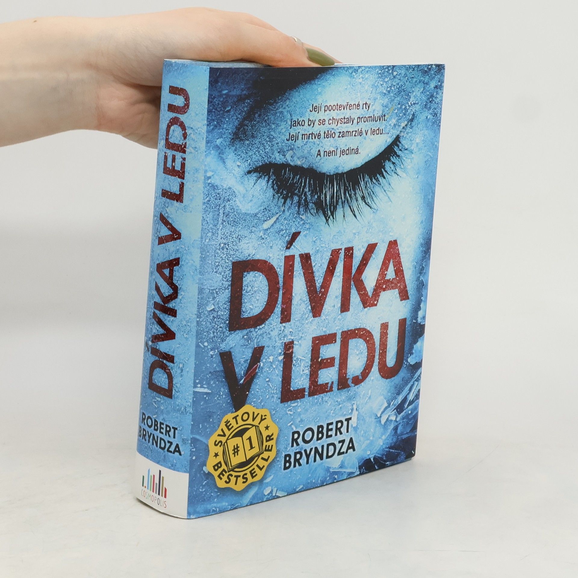 Robert Bryndza Dívka v ledu