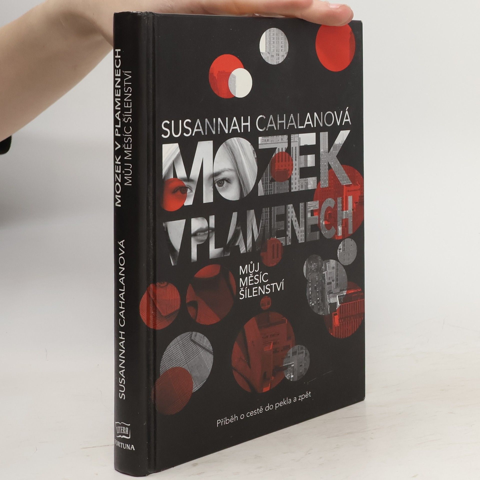 Susannah Cahalan Mozek v plamenech : můj měsíc šílenství