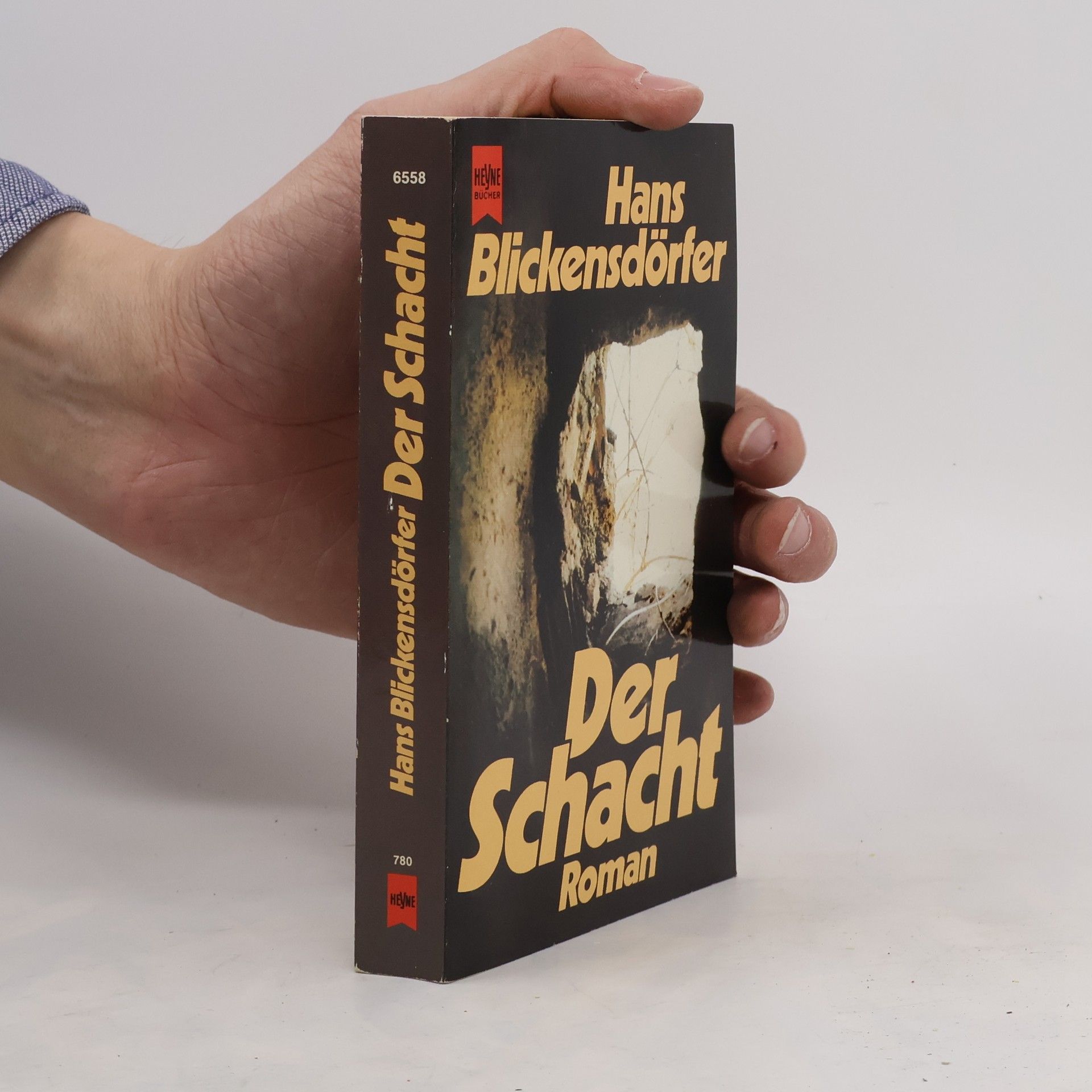 Hans Blickensdörfer Der Schacht
