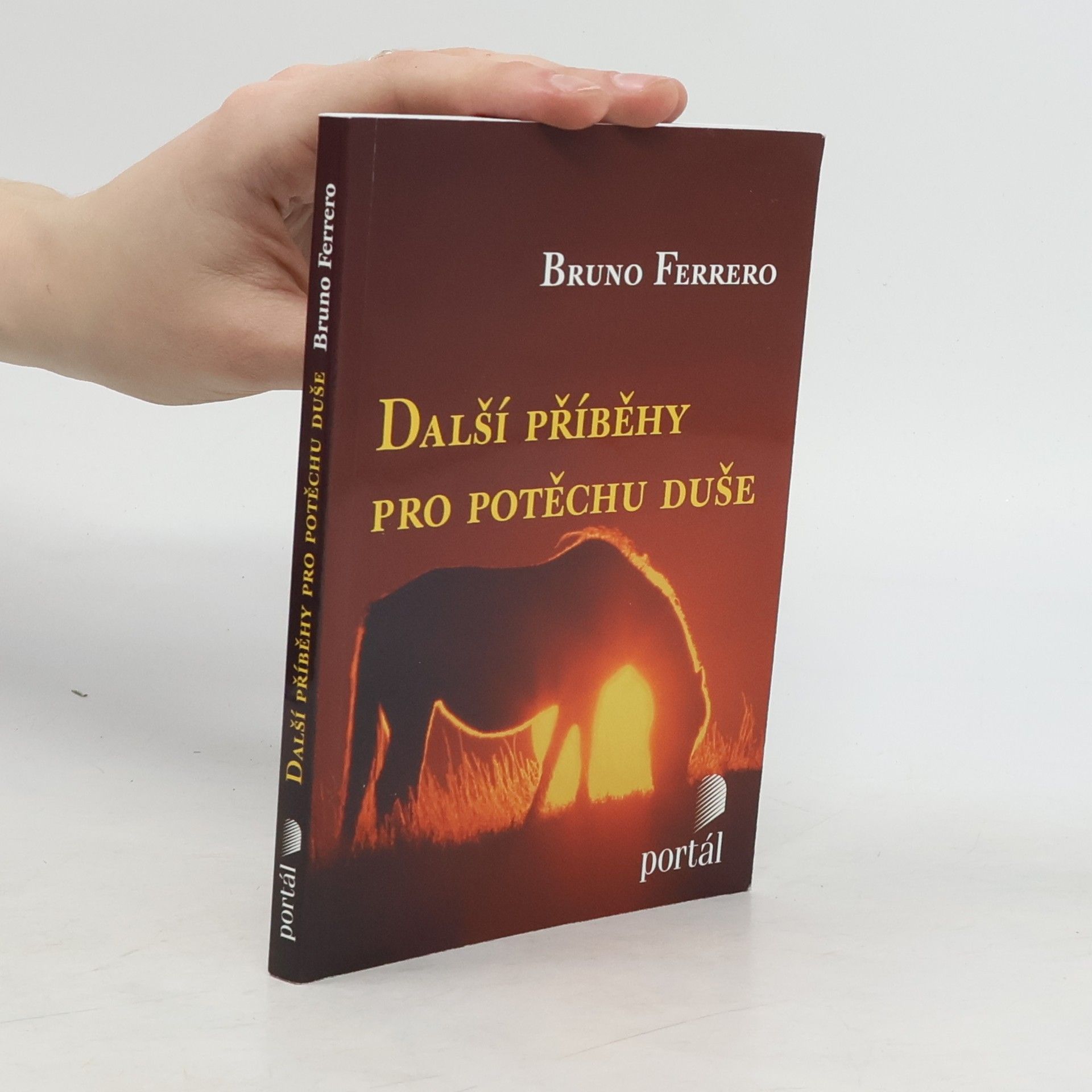 Bruno Ferrero Další příběhy pro potěchu duše