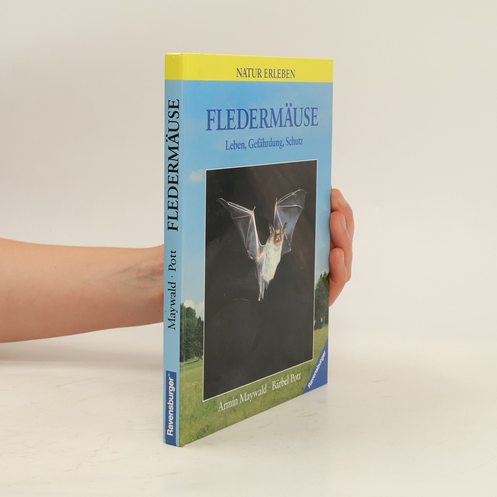 Bärbel Pott Fledermäuse
