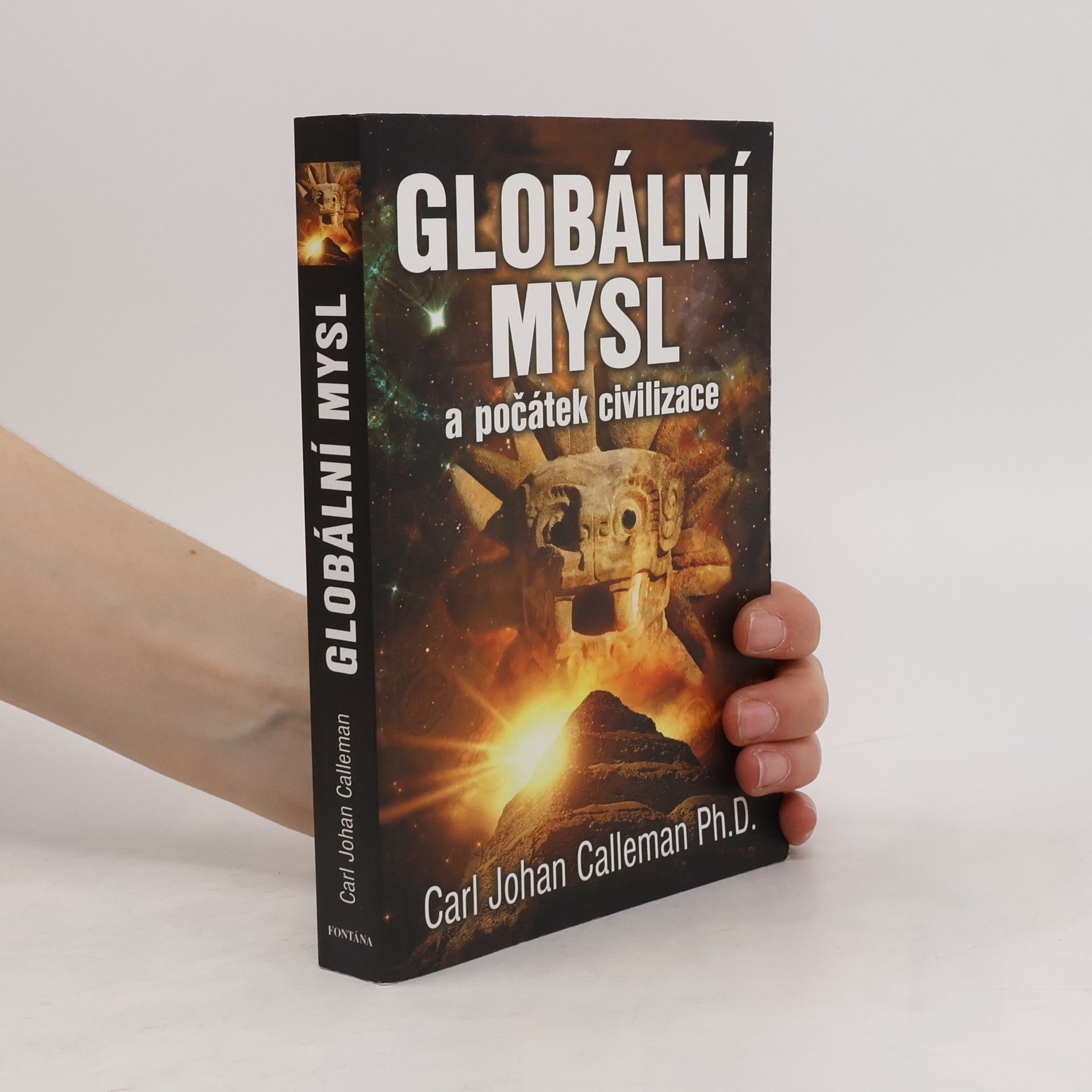 Carl Johan Calleman Globální mysl a počátek civilizace