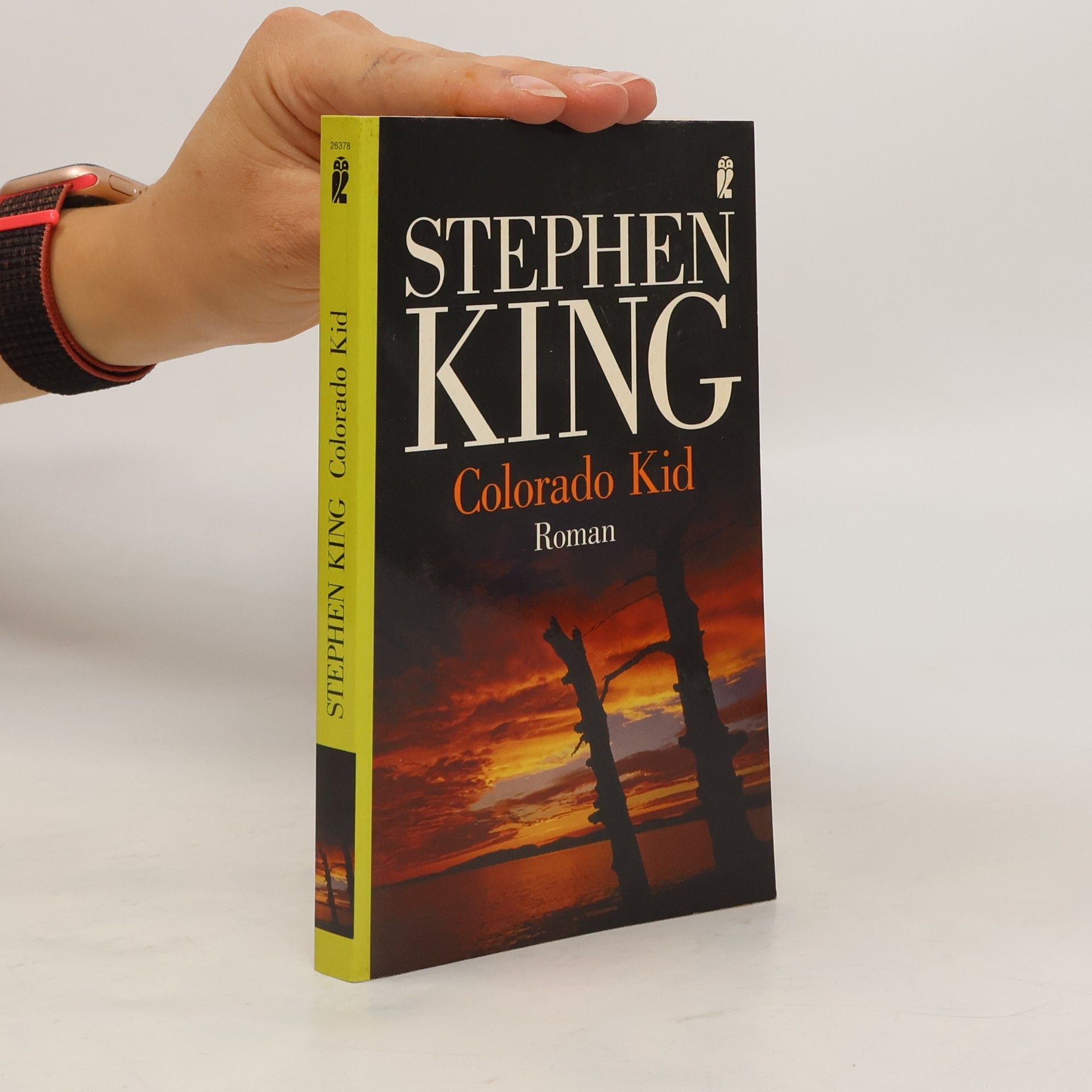 Stephen King Colorado Kid