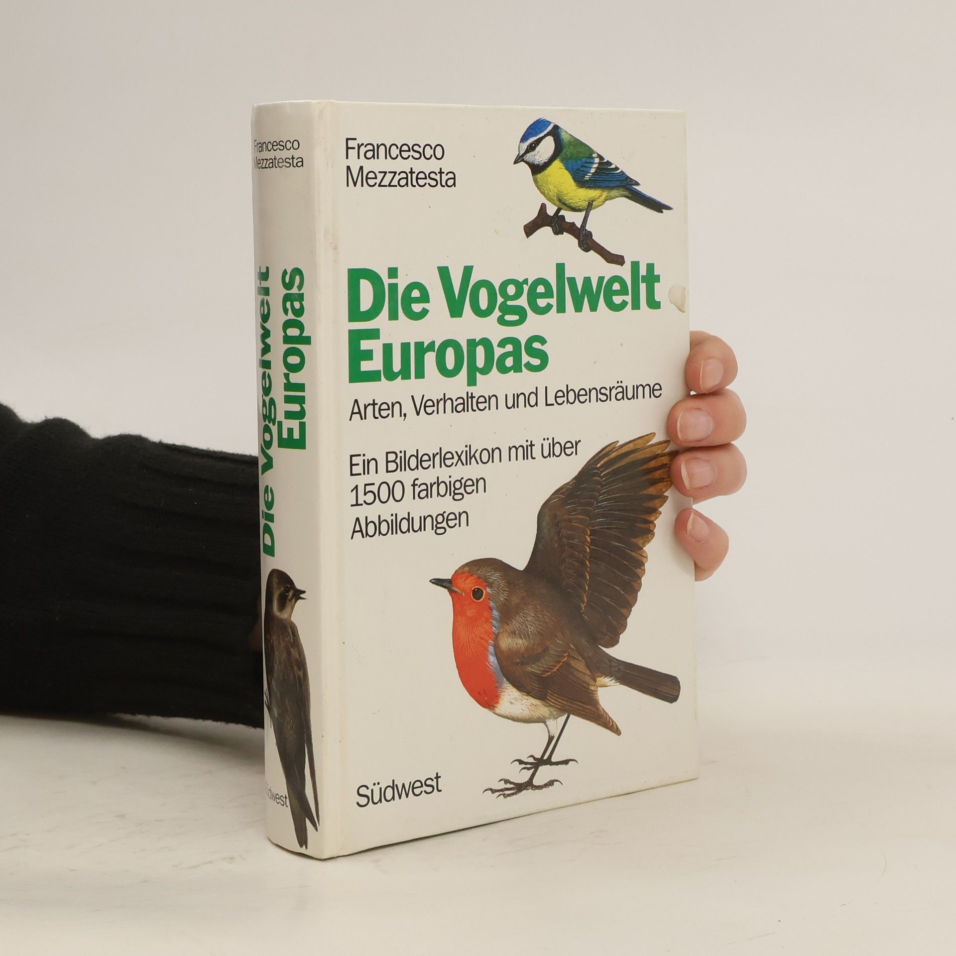 Francesco Mezzatesta Die Vogelwelt Europas