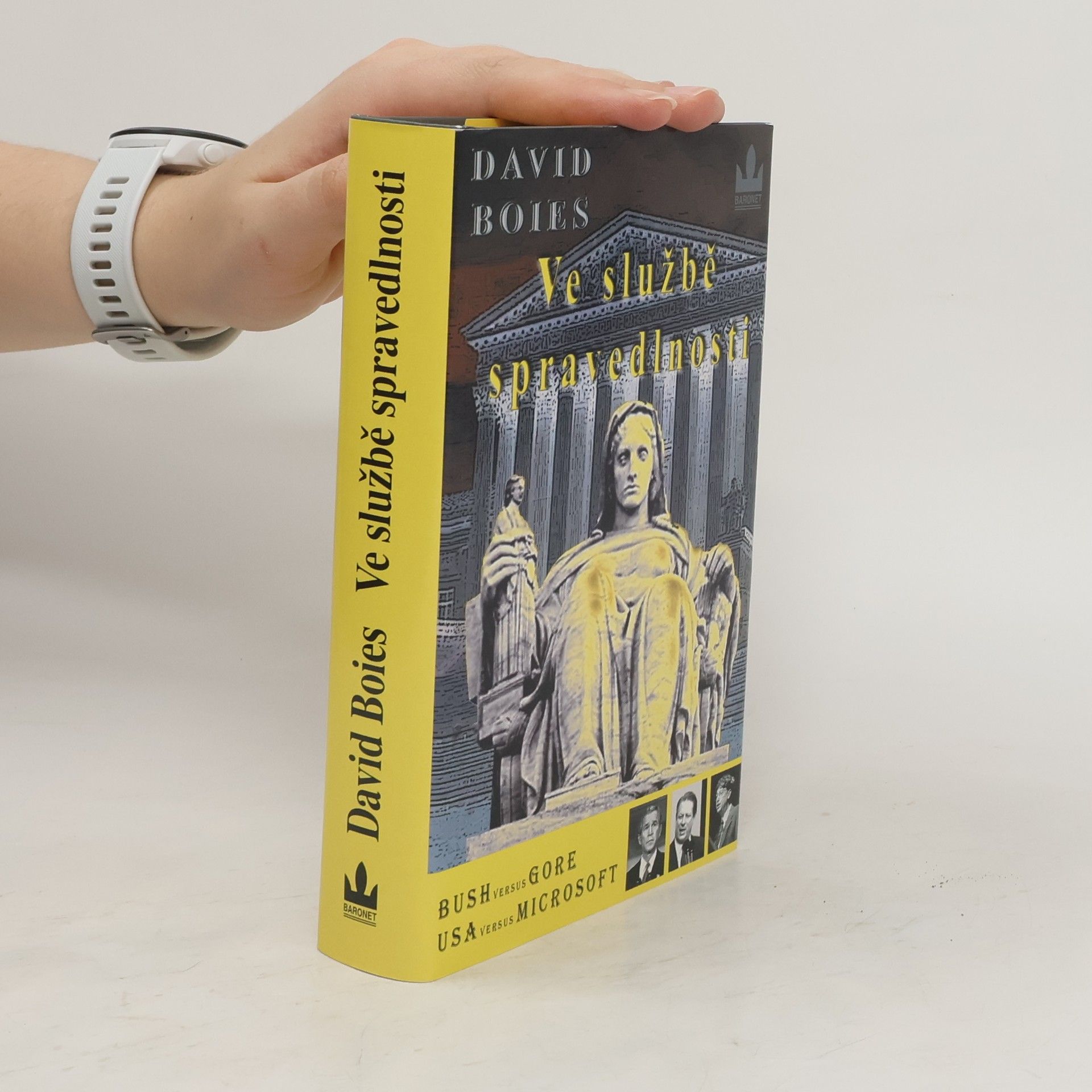 David Boies Ve službě spravedlnosti