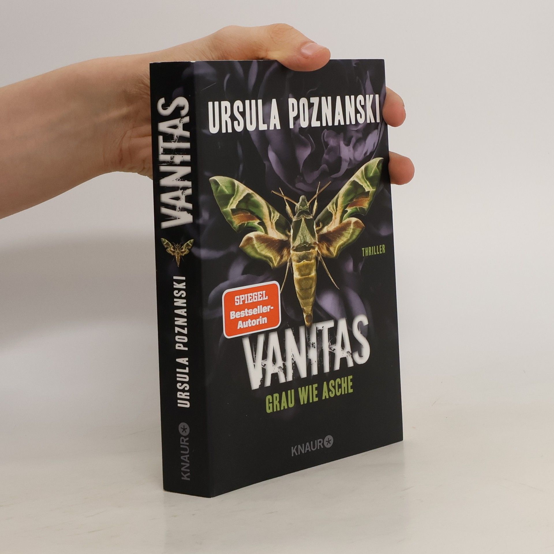 Ursula Poznanski Vanitas. Grau wie Asche