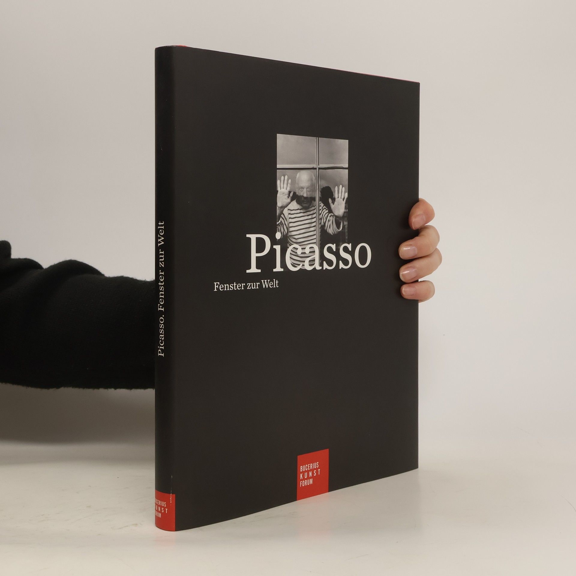 E. milie Bouvard Picasso, Fenster zur Welt