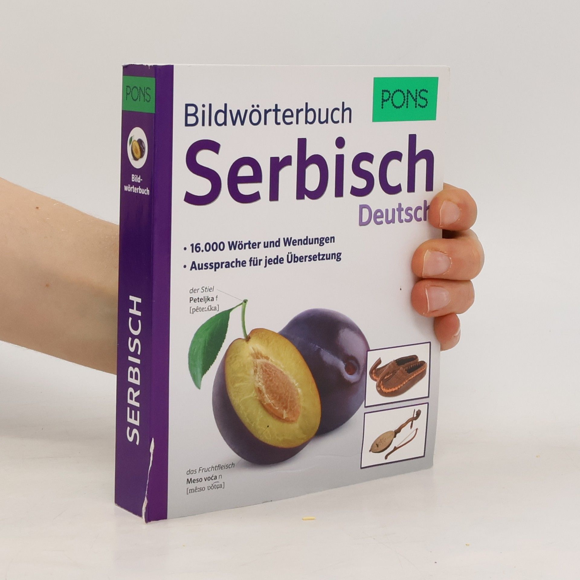 Anette Dralle Bildwörterbuch Serbisch Deutsch