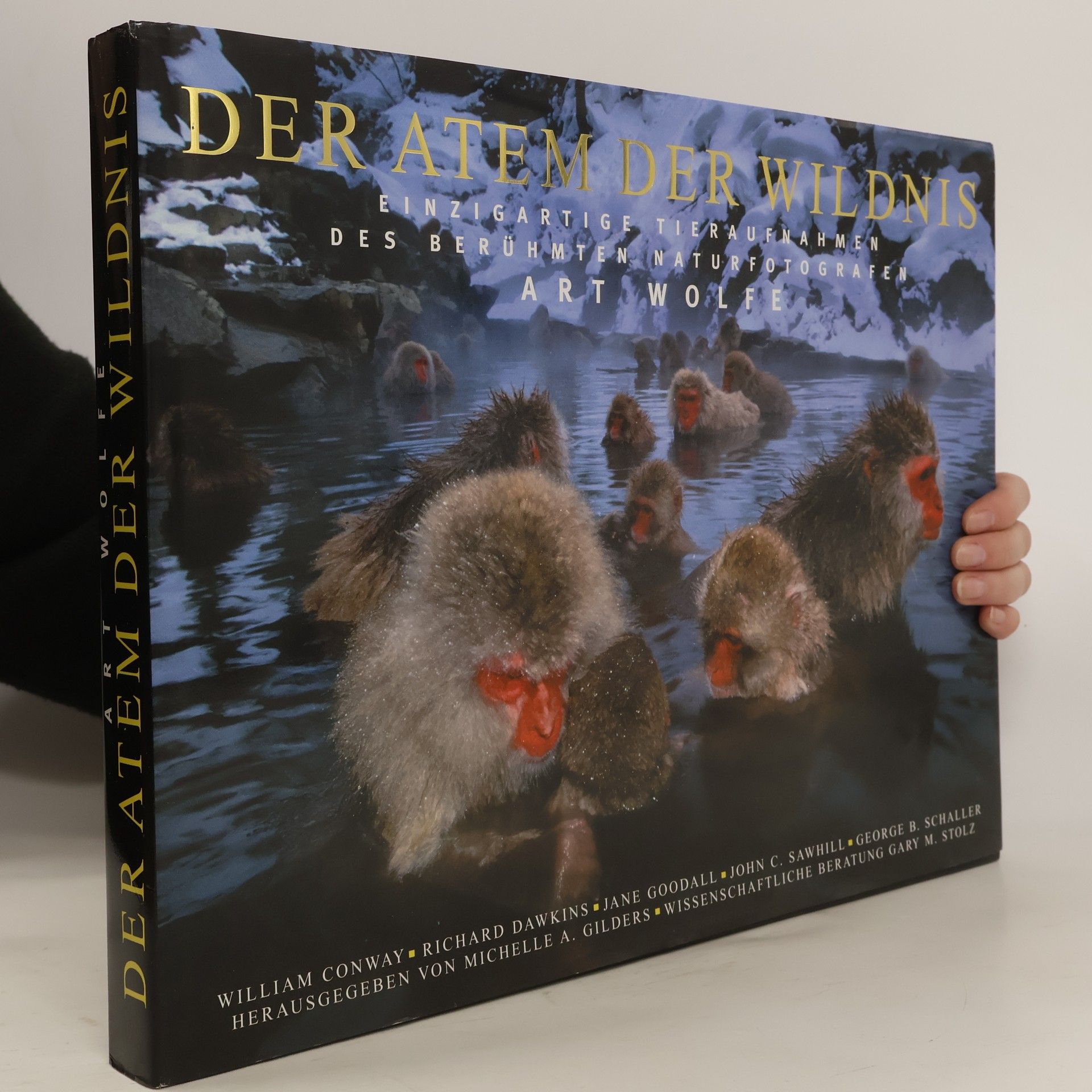 Collective Der Atem der Wildnis