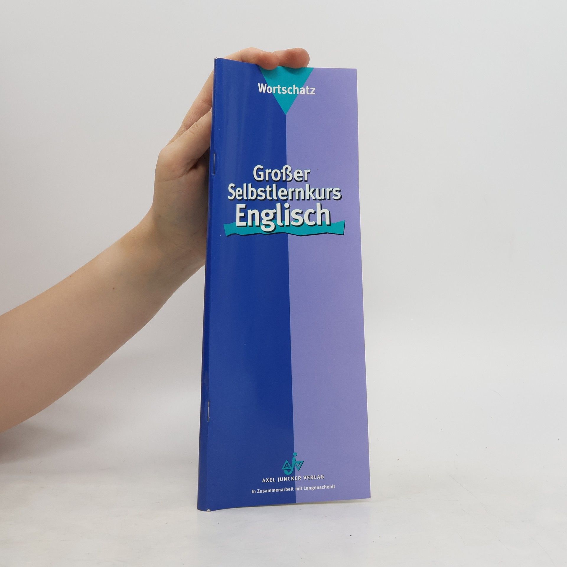 Collectif d'auteurs Großer Selbstlernkurs Englisch
