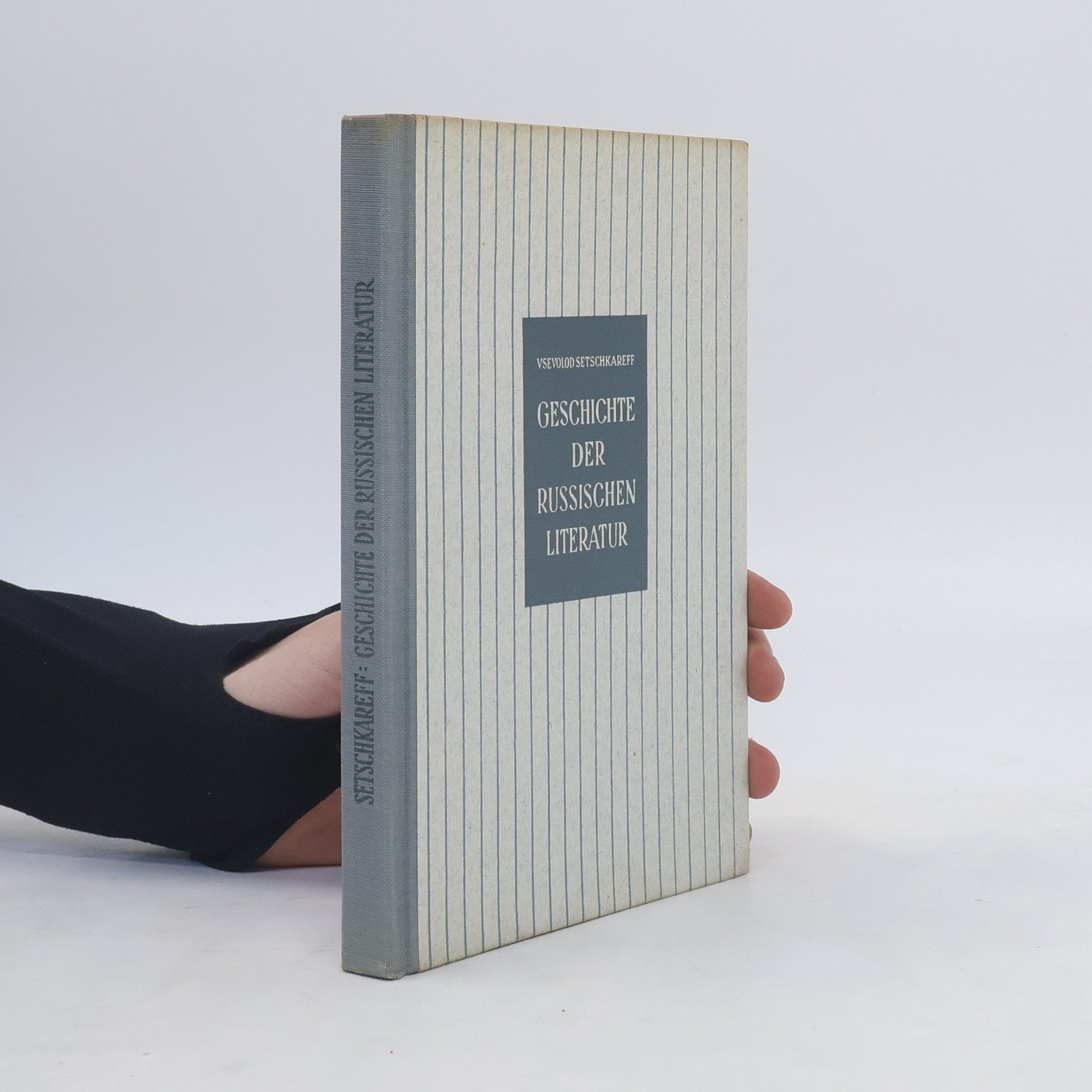 Vsevolod Setschkareff Geschichte der russischen Literatur