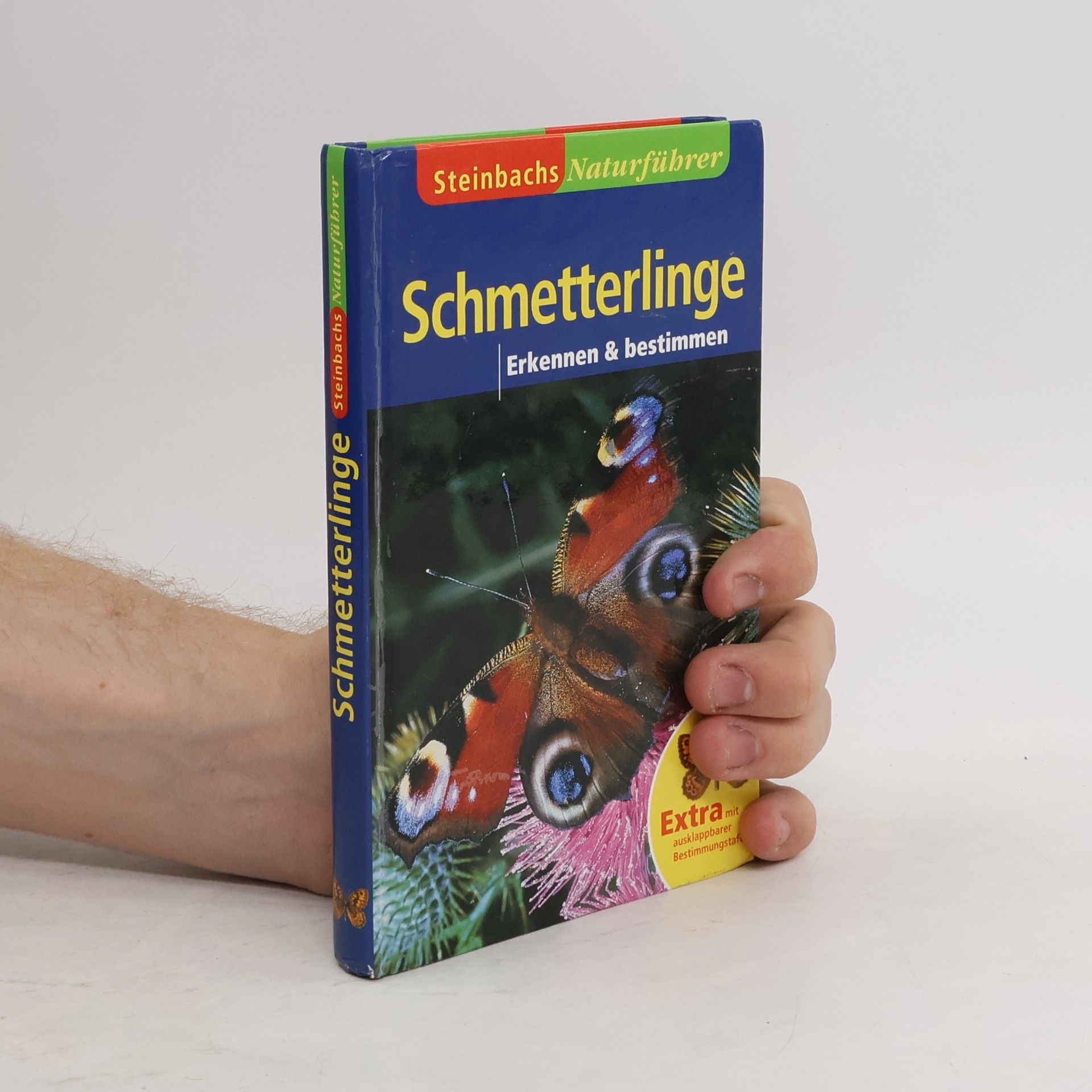 Autorenkollektiv Schmetterlinge