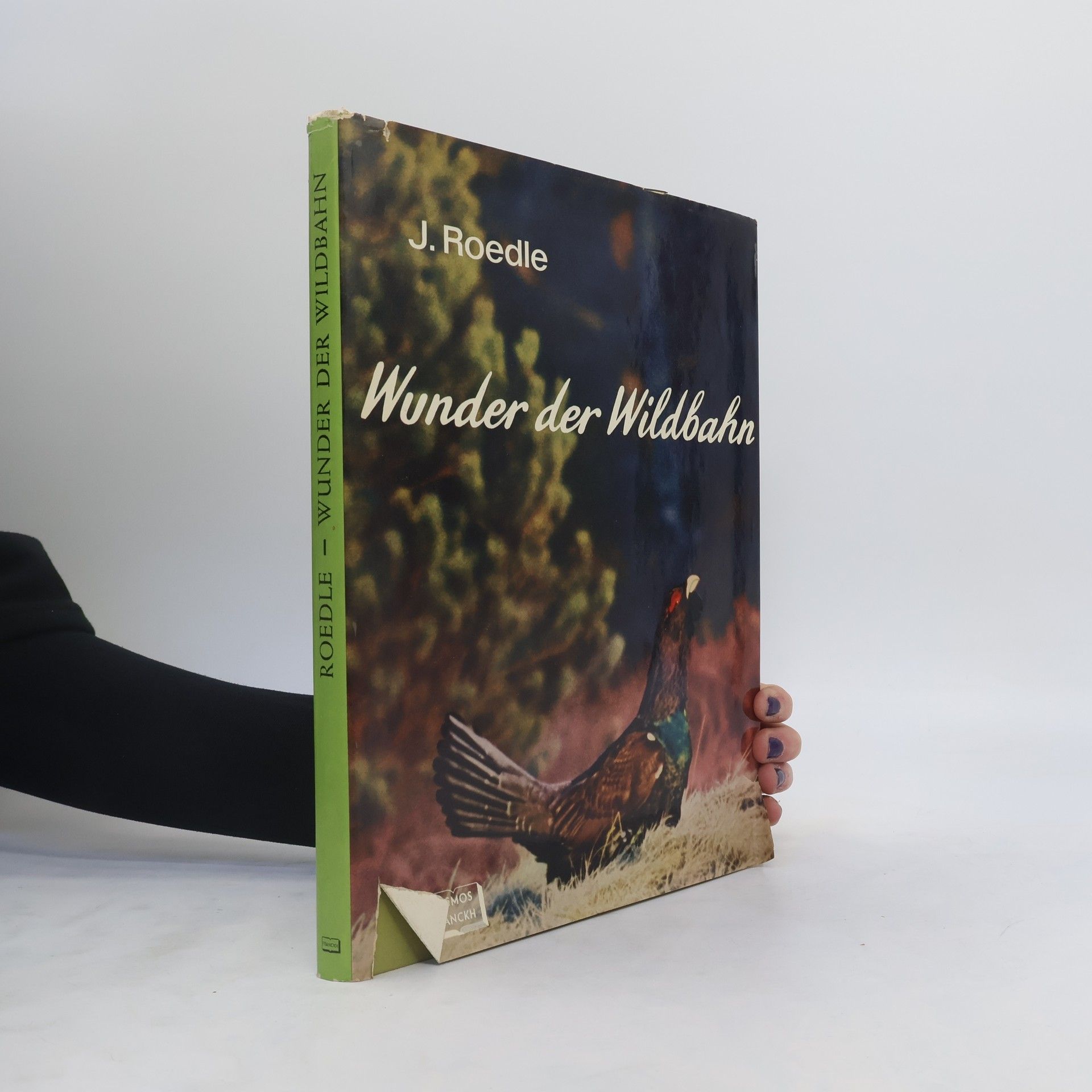 Josef Roedle Wunder der Wildbahn