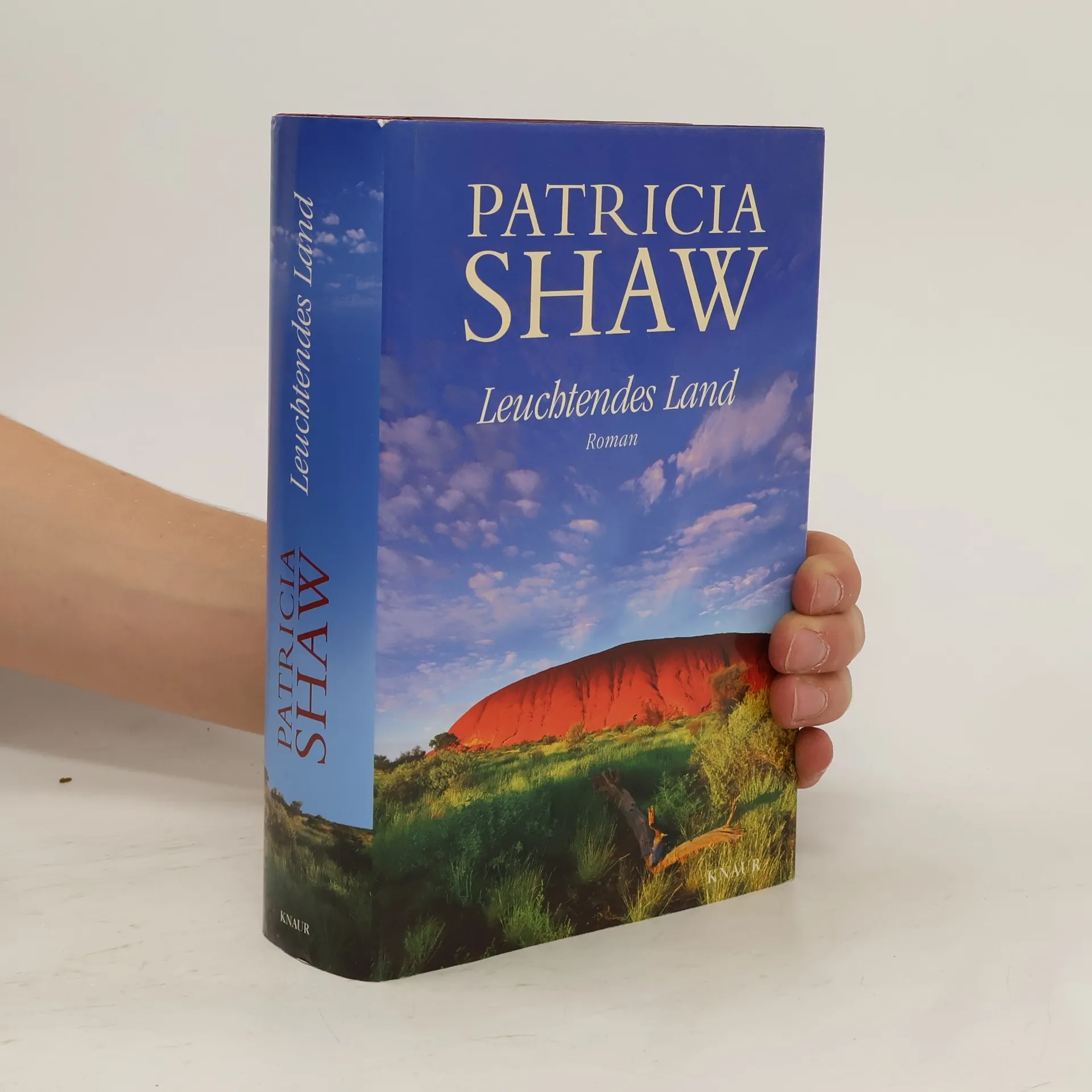 Leuchtendes Land | Buch | Patricia Shaw