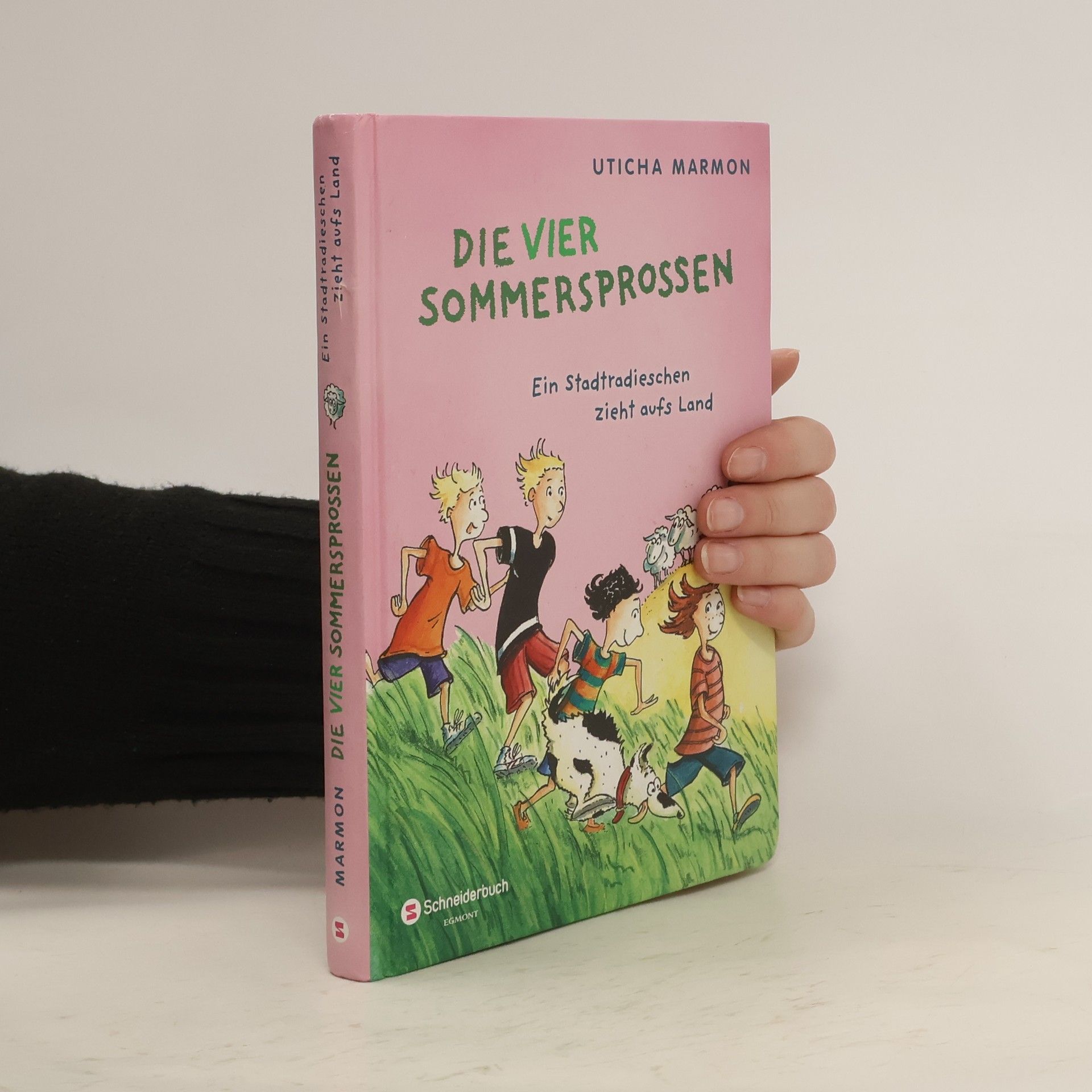 Uticha Marmon Die vier Sommersprossen
