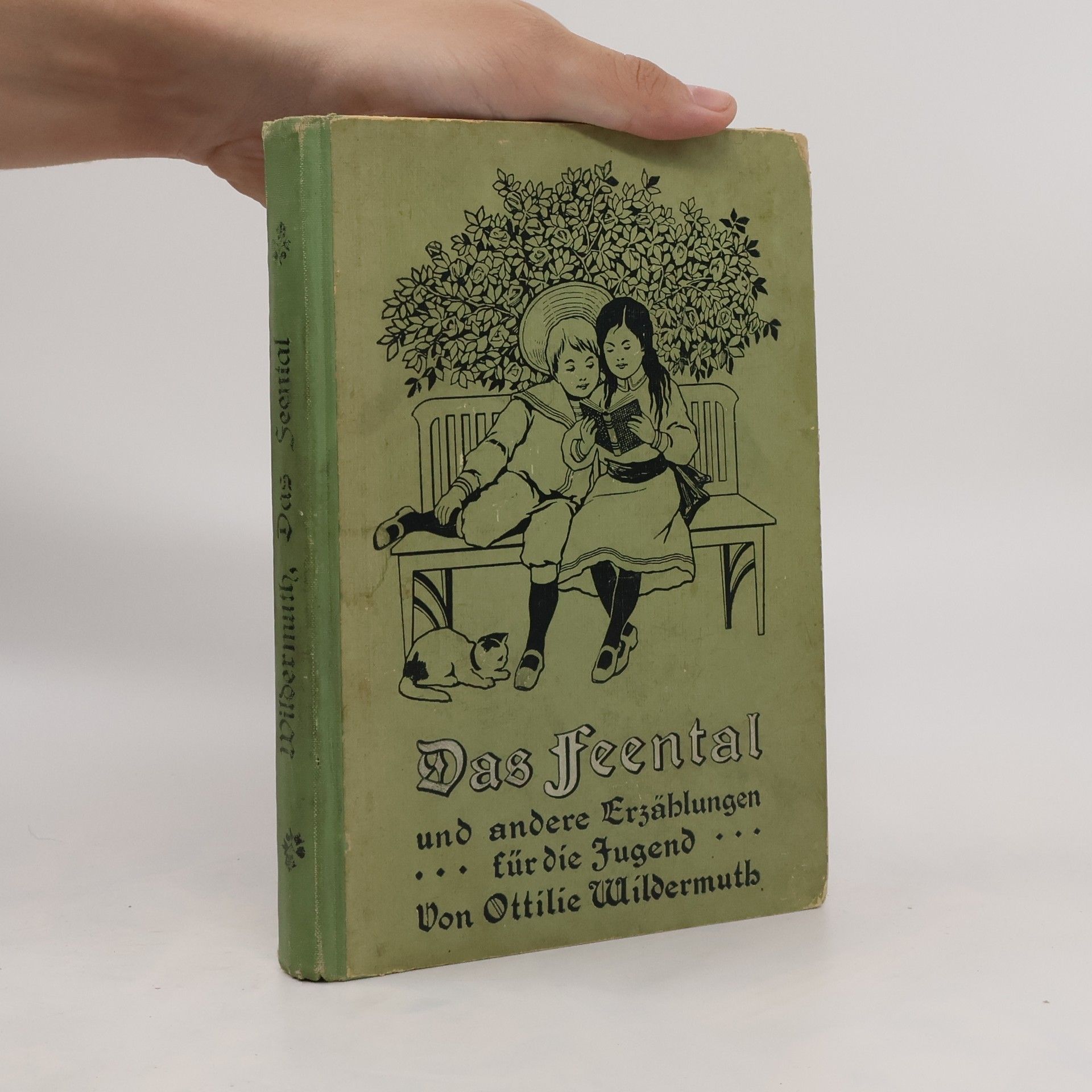 Ottilie Wildermuth Das Feental und drei andere Erzählungen für die Jugend