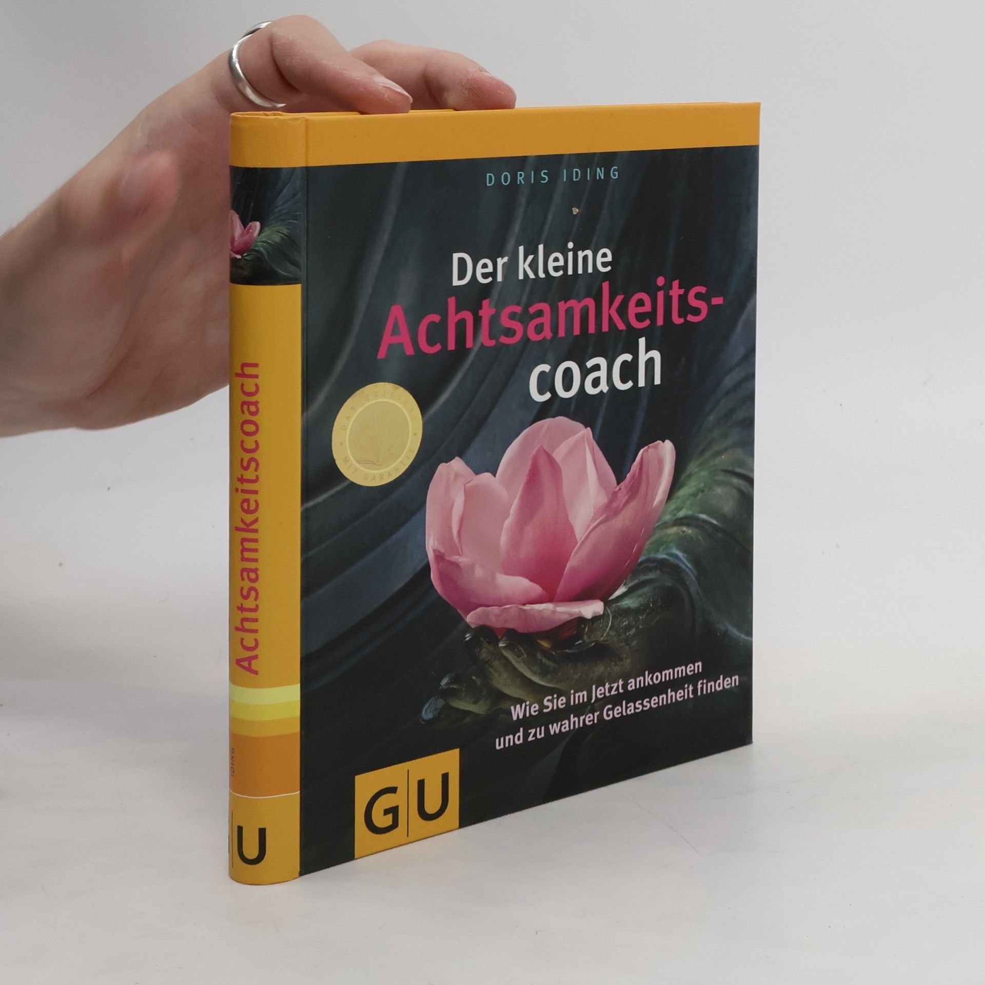 Doris Iding Der kleine Achtsamkeitscoach