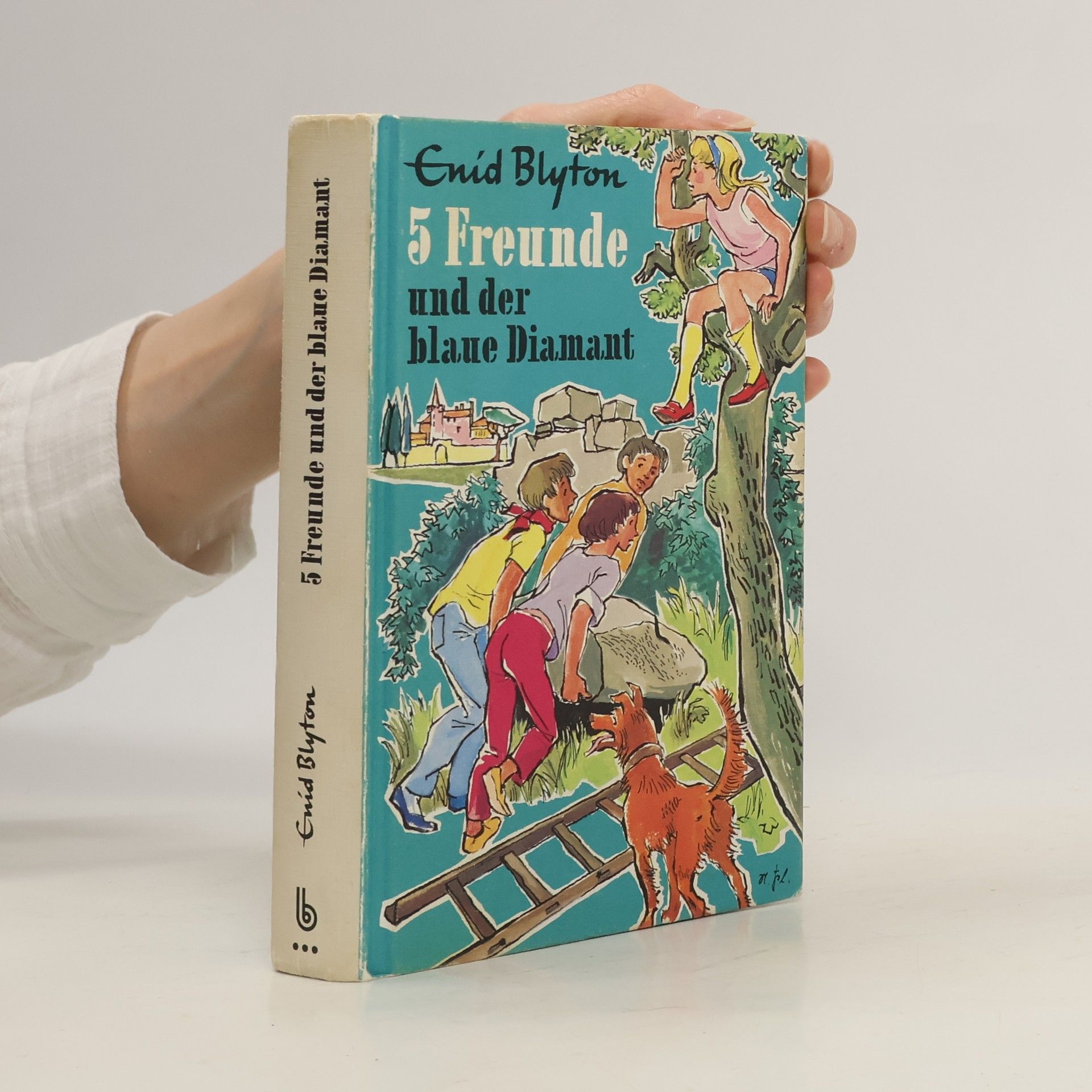 Enid Blyton Fünf Freunde und der blaue Diamant