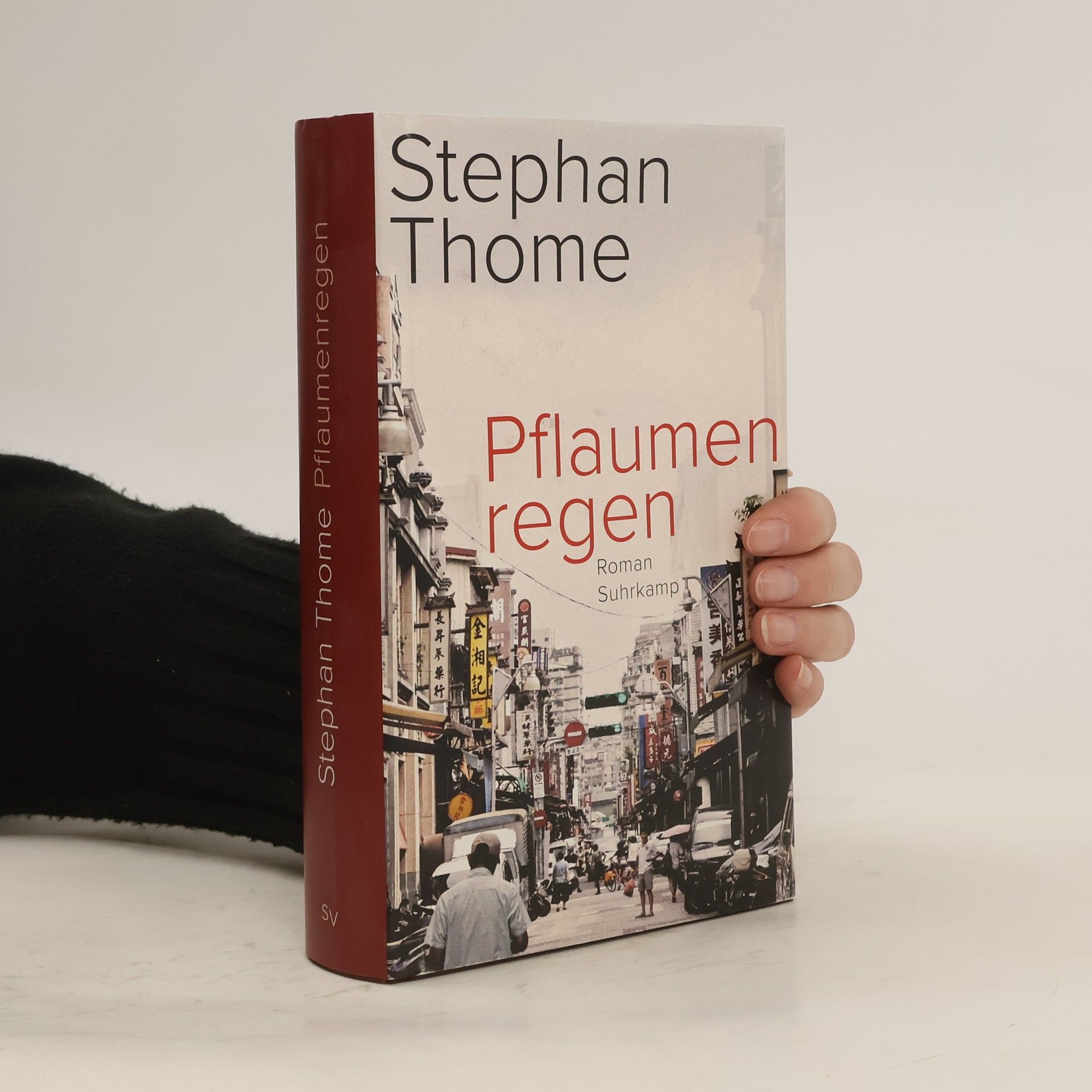 Stephan Thome Pflaumenregen